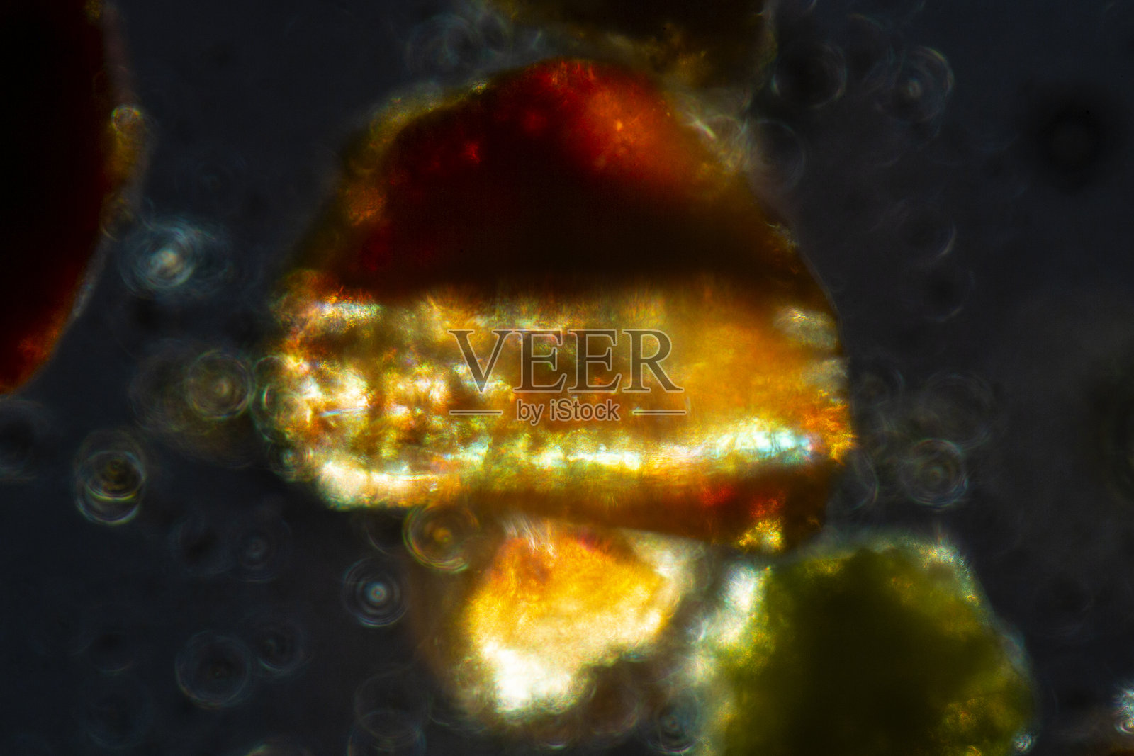 来自哥斯达黎加的彩色沙粒的抽象显微照片。照片摄影图片