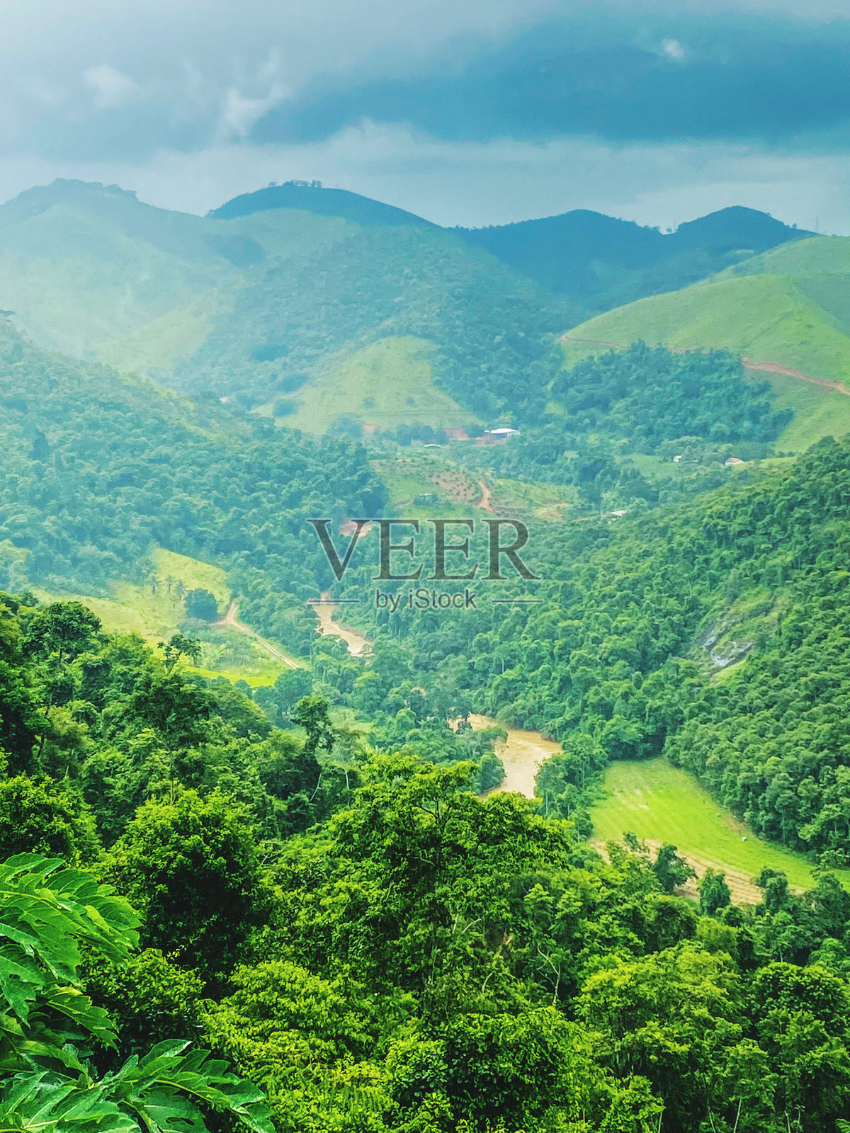 高角度俯瞰树木和山脉与天空的景色照片摄影图片