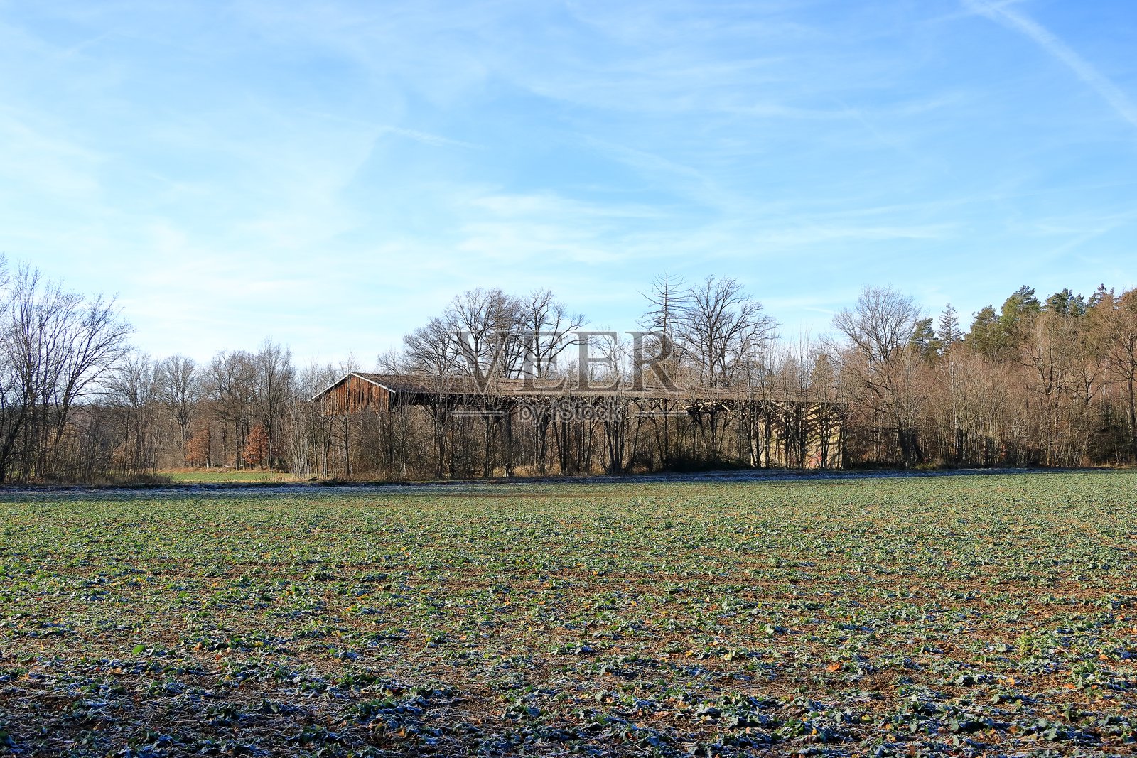 一幅有着老谷仓的乡村风景照片摄影图片