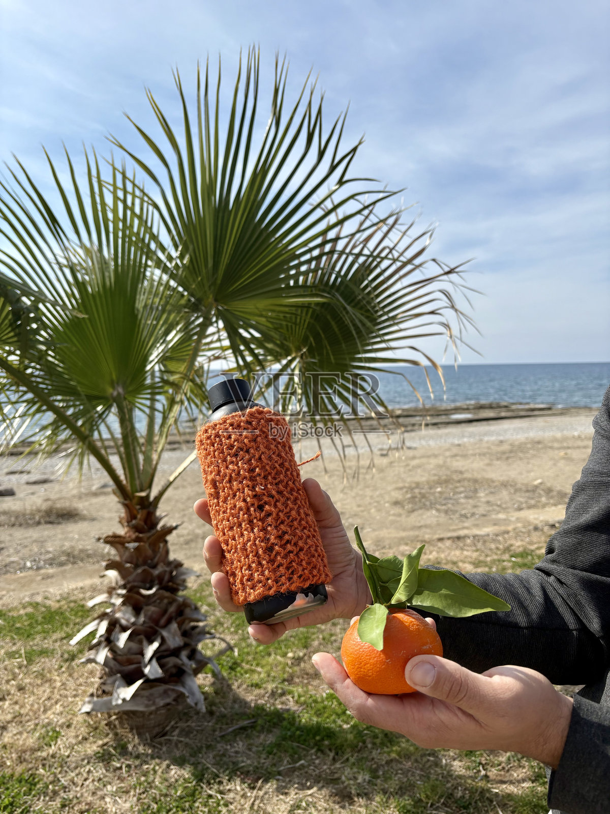 海滩瓶子植物照片摄影图片