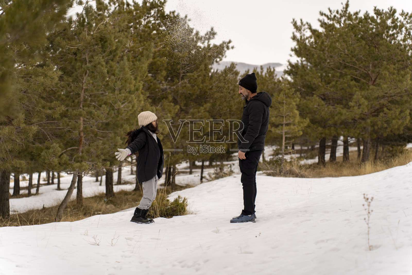 父亲和女儿在雪中散步。父亲和女儿在雪林中玩得很开心。照片摄影图片