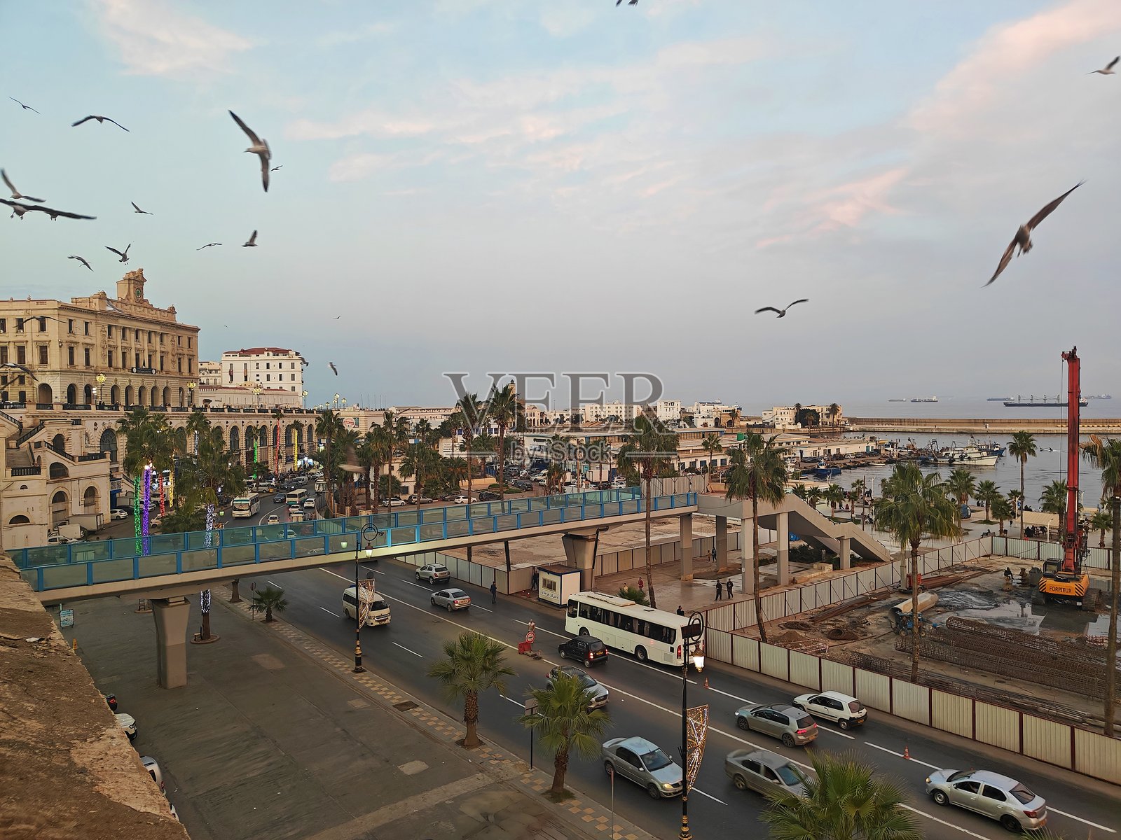 阿尔及尔海滨照片摄影图片