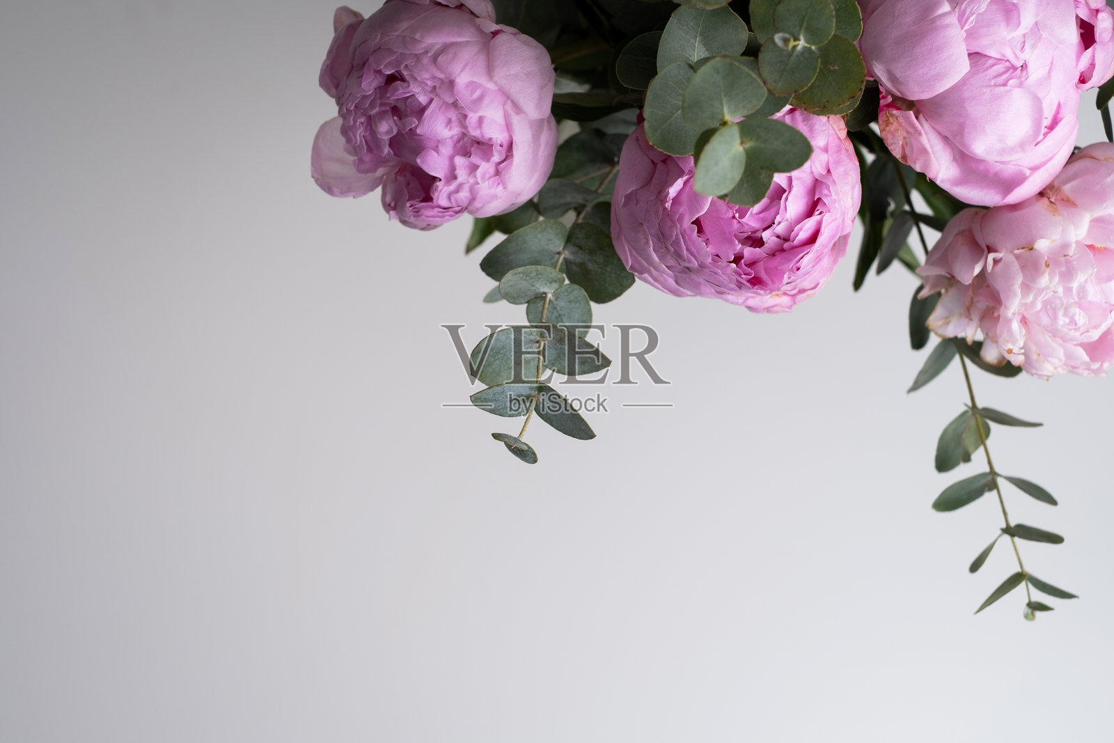 美丽的粉色牡丹和桉树枝摆放在白色桌子上，留有文字空间，俯视和扁平布局风格照片摄影图片