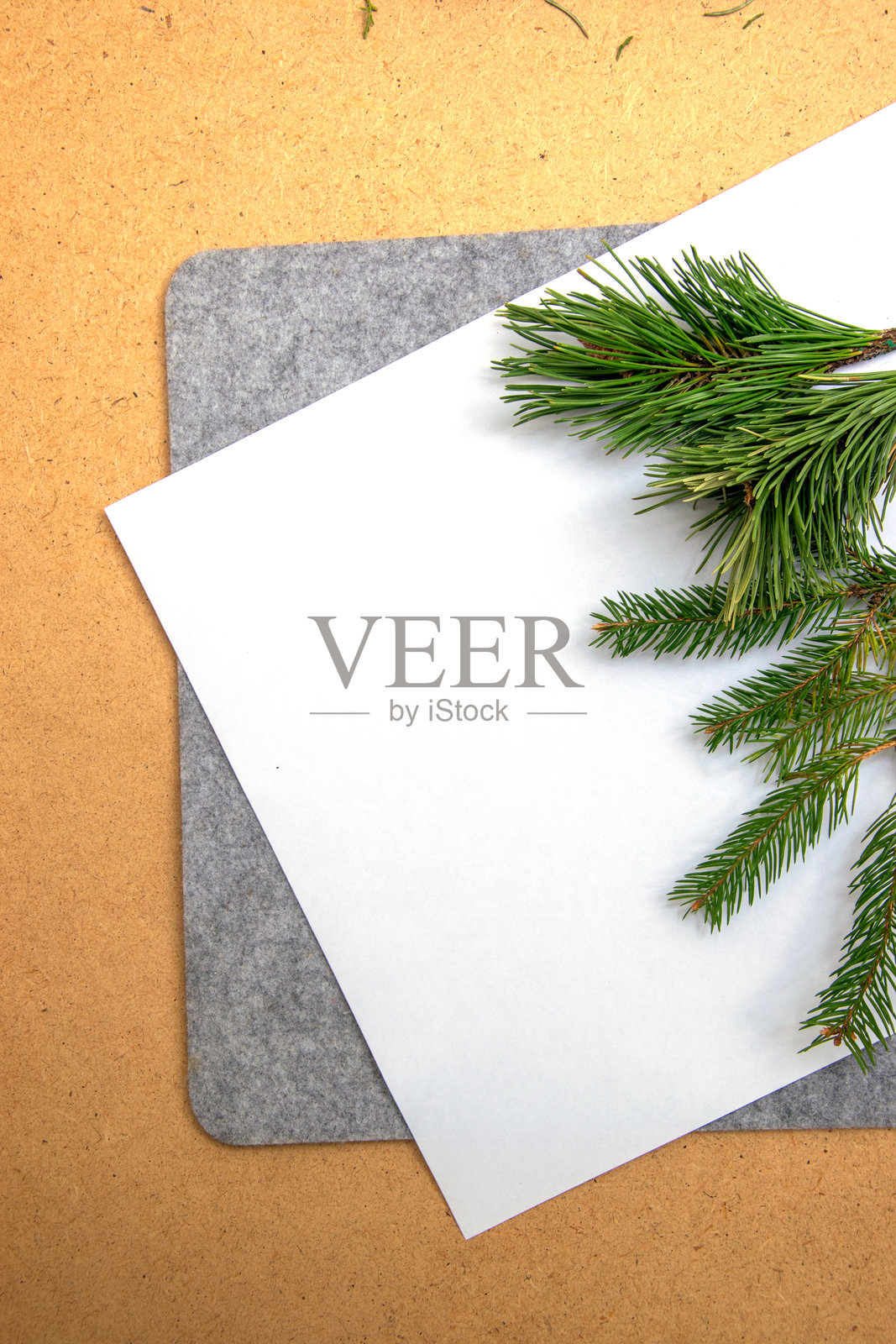 冬季在家创意活动中，使用常青树枝在空白纸上进行手工制作照片摄影图片