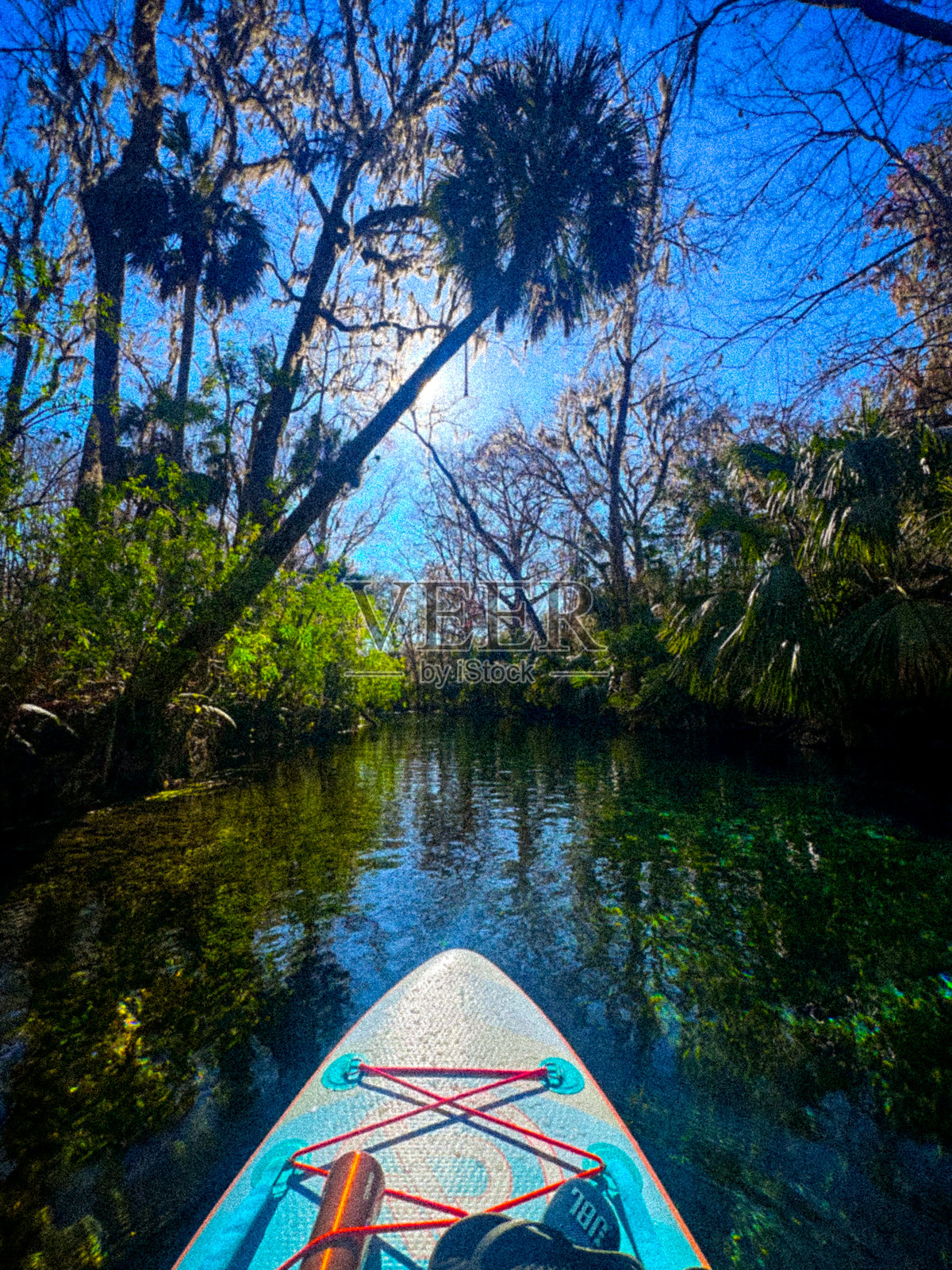 春天的风景照片摄影图片