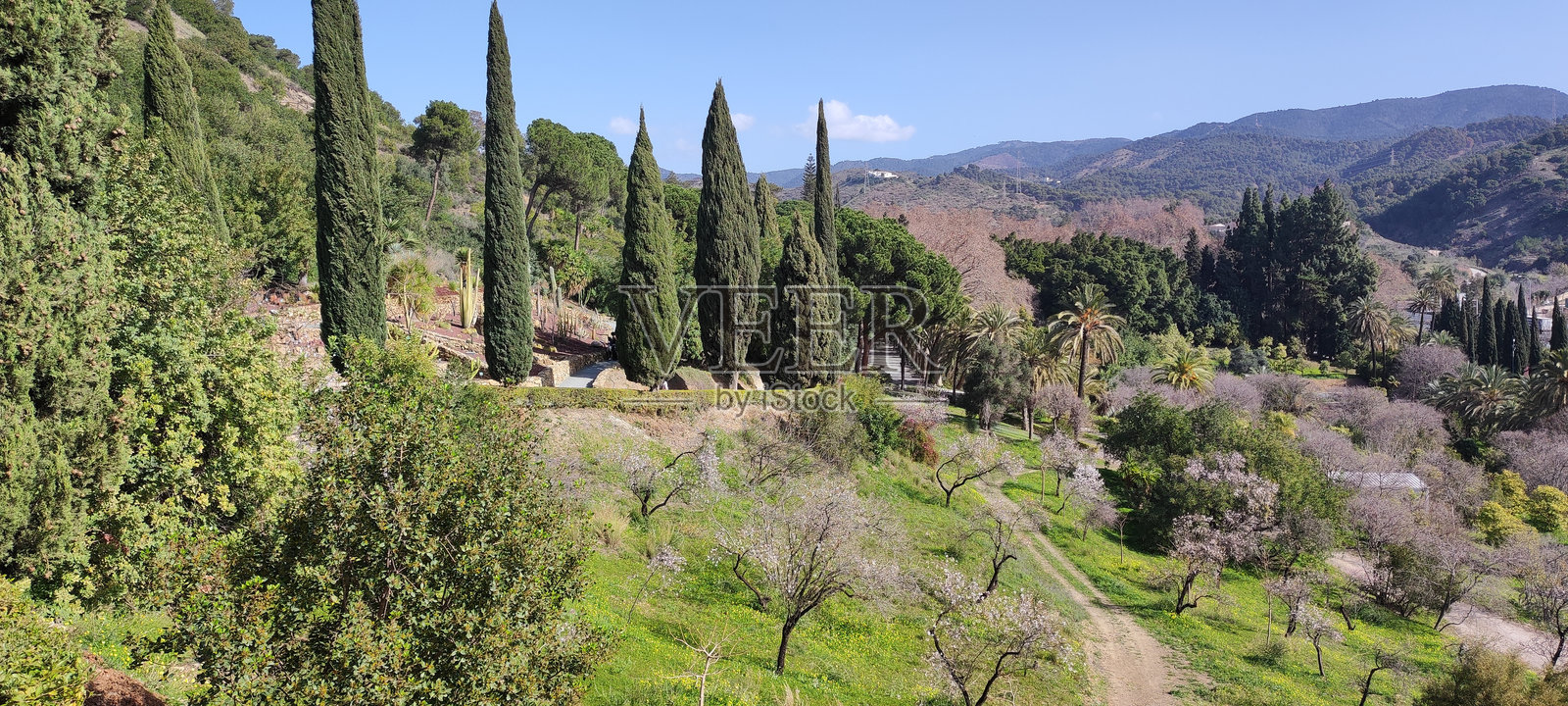 马拉加的拉孔塞普西翁植物园令人惊叹的花园照片摄影图片