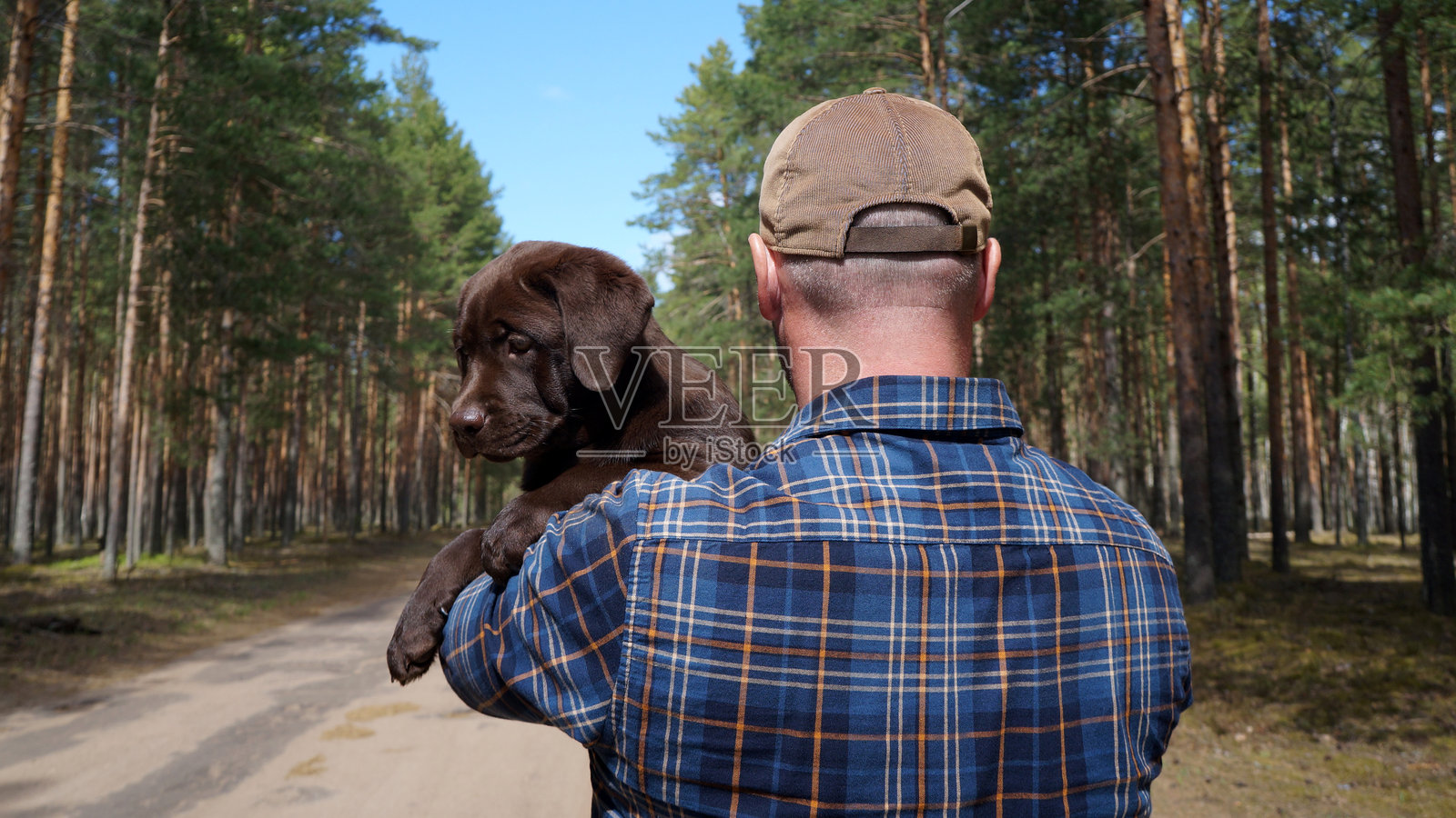 一名穿着衬衫的男子抱着一只两个月大的小狗，站在夏季的松树林中。照片摄影图片