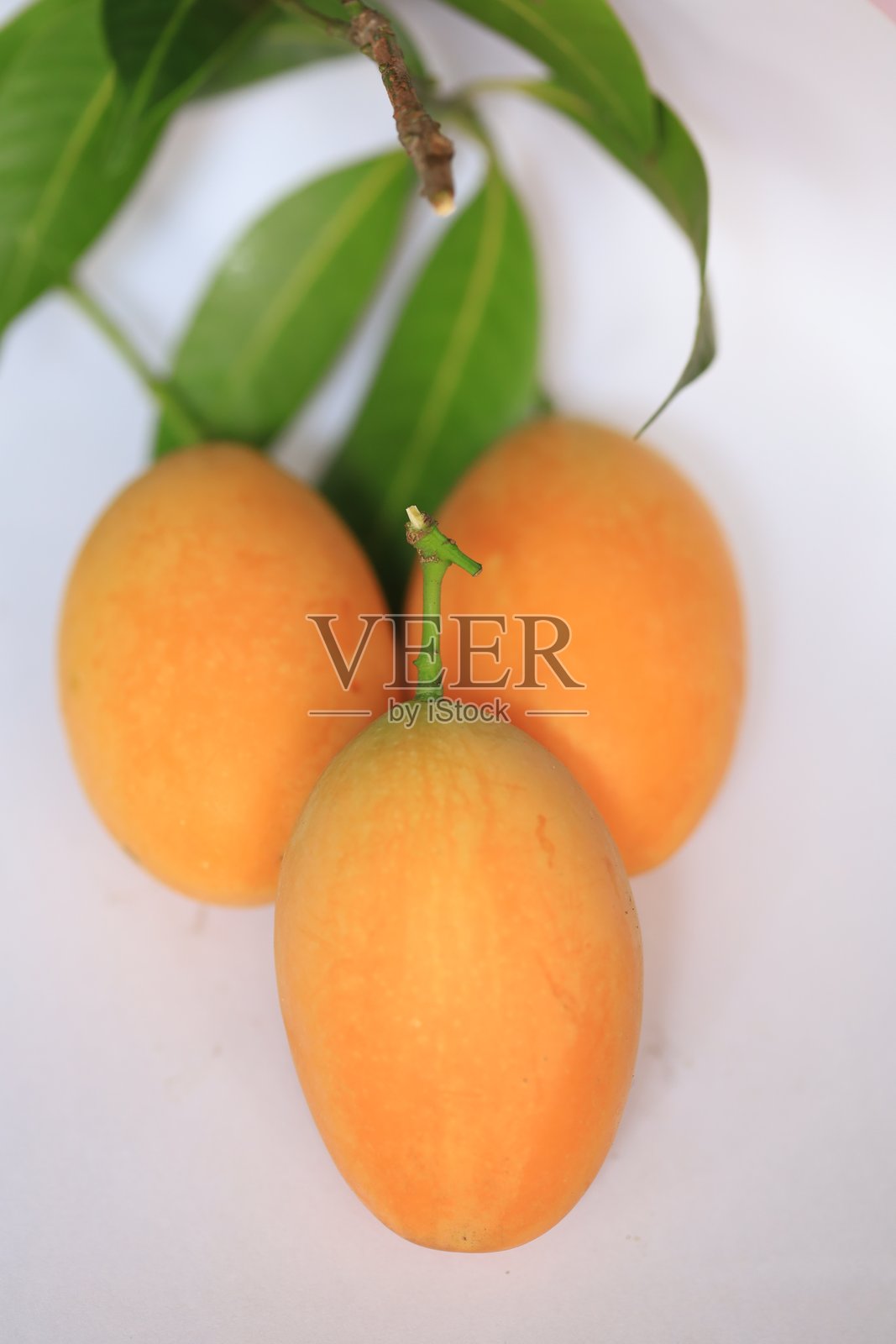 玛普朗，玛丽安李子，李子芒果照片摄影图片