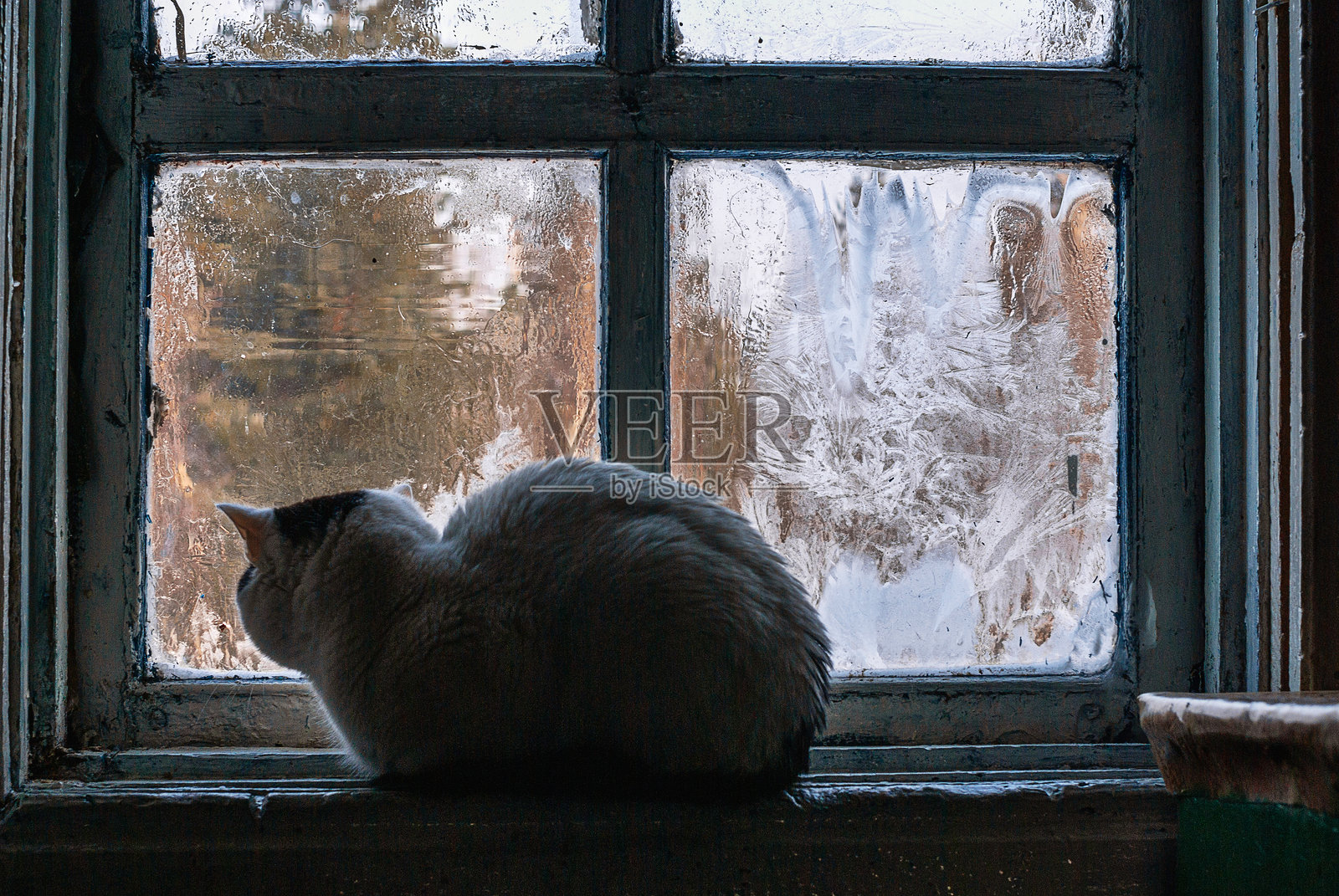 西伯利亚，一个村庄的房子：冰冷的窗户，窗台上的一只猫。照片摄影图片