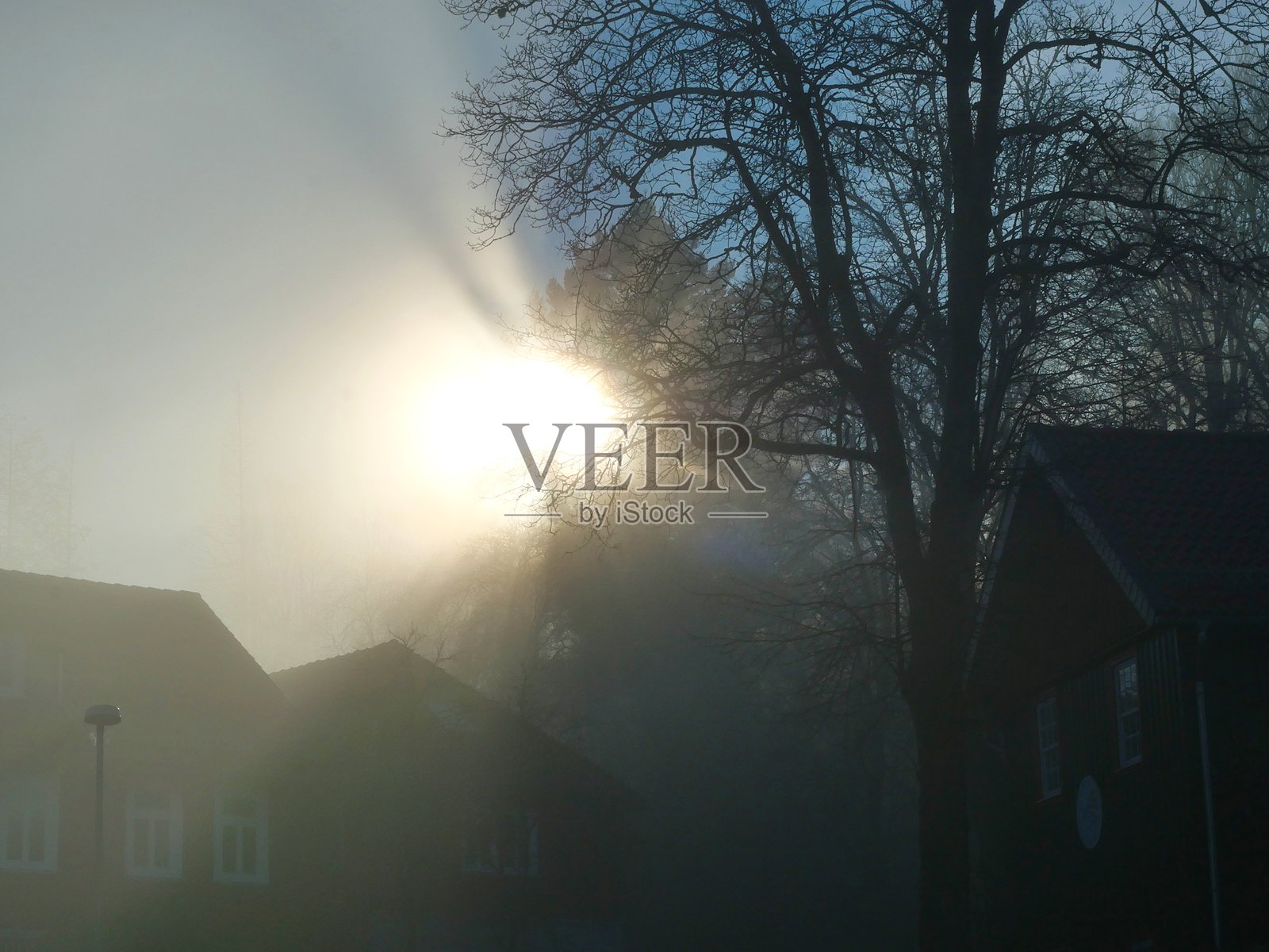 雾中的城市与灯光的交错照片摄影图片