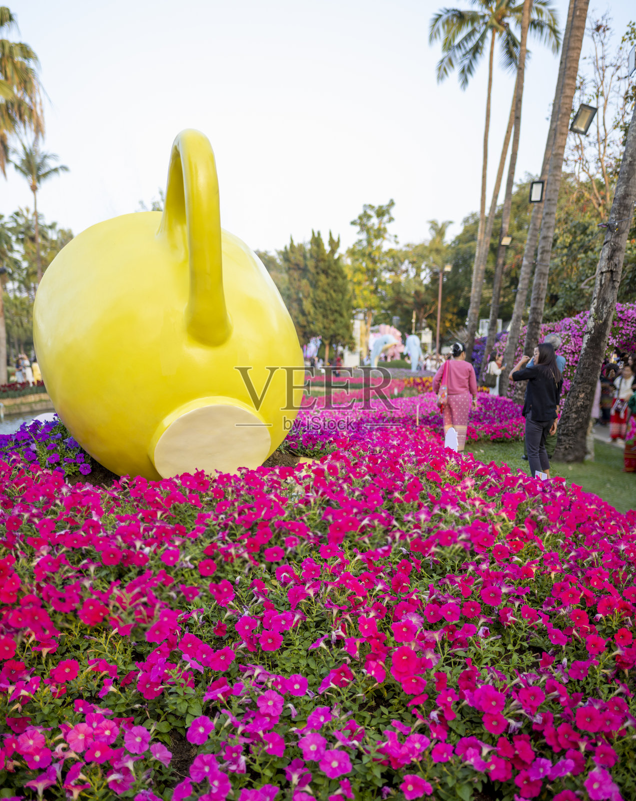 2025年清迈花卉节，在布瓦哈德公园举行。照片摄影图片