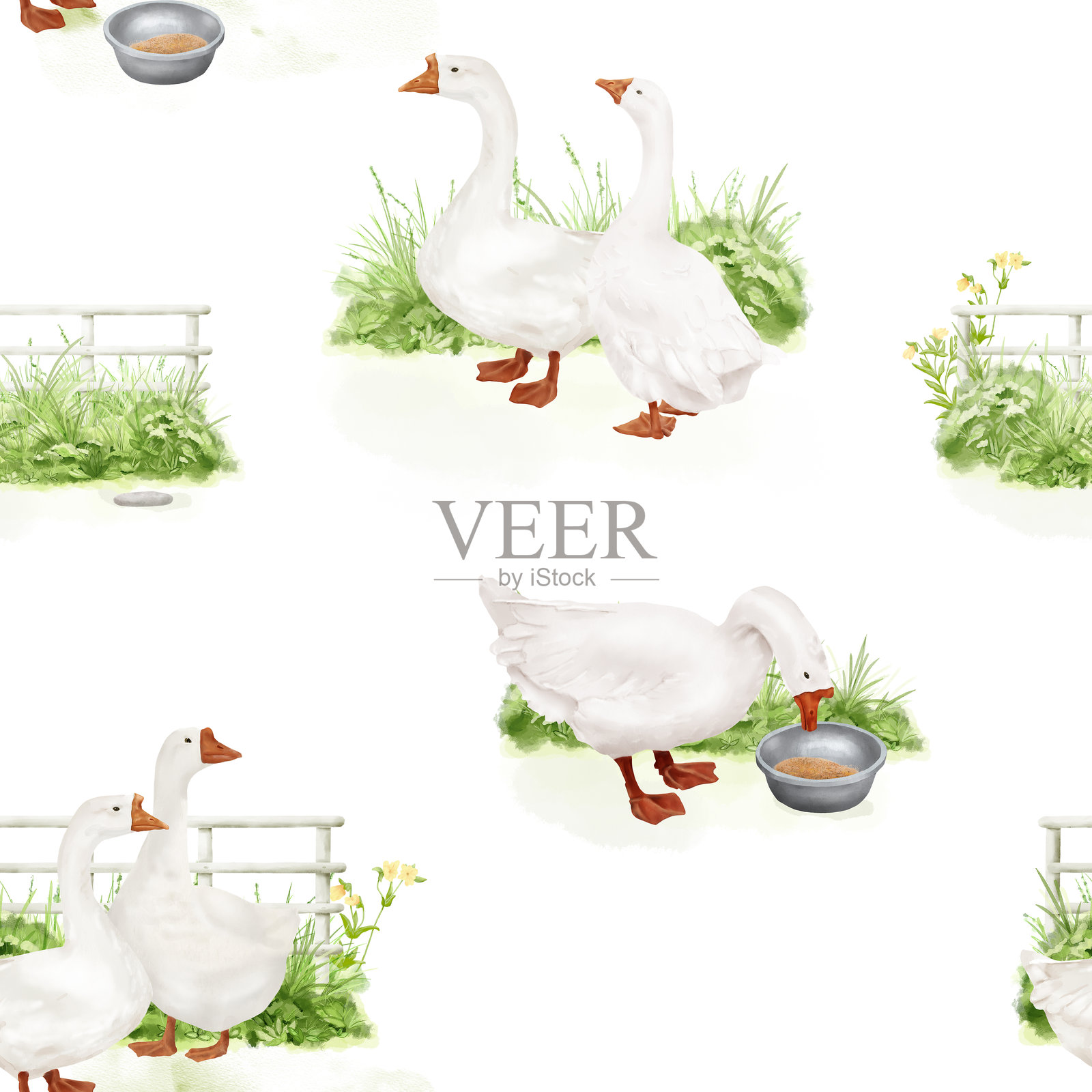 草地上靠近围栏的家鹅，无缝图案。水彩数字插图。白色背景上的农场鸟。鹅从碗里吃谷物。厨房、春天和复活节主题。插画图片素材
