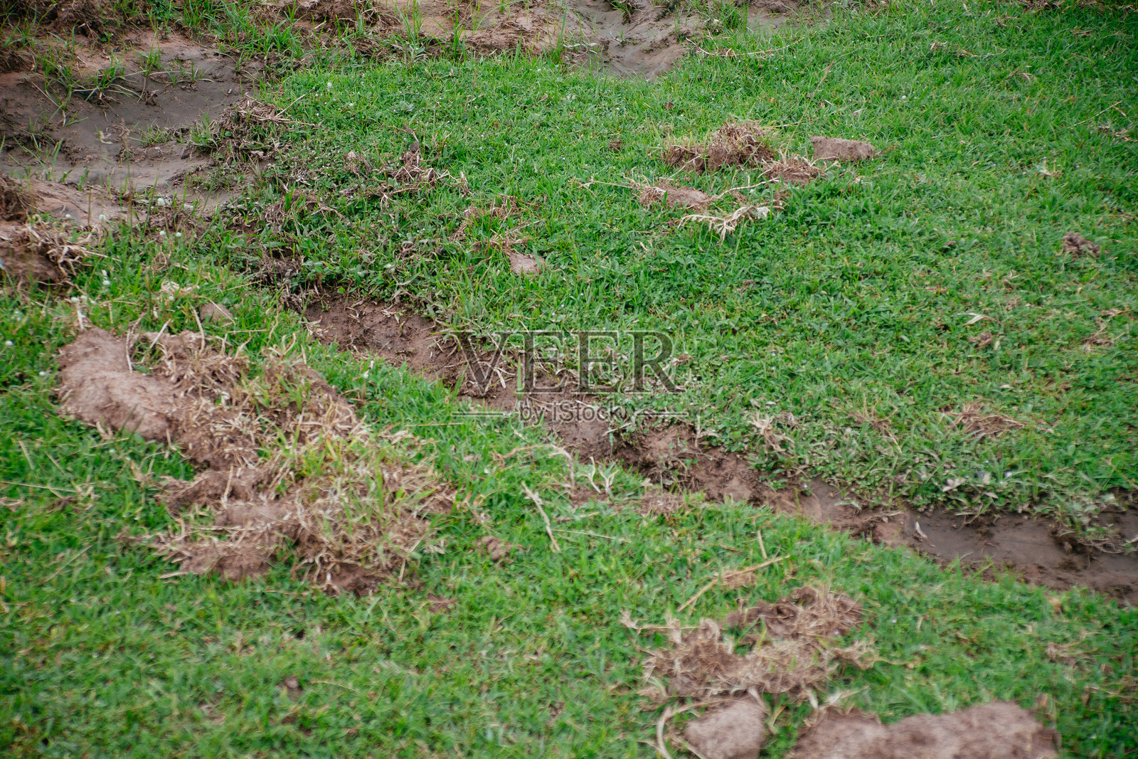 地面上的自然景观照片摄影图片