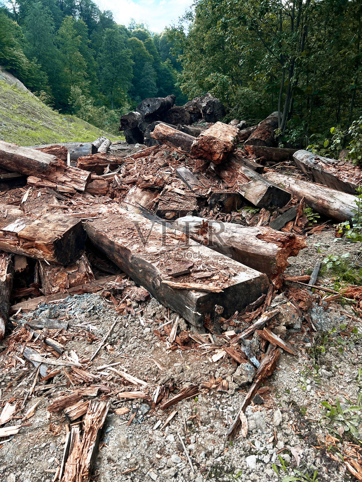 一堆破碎和腐烂的木头散落在森林坡道上，象征着自然腐烂或森林砍伐、环境影响、林业以及木材分解的自然循环。照片摄影图片