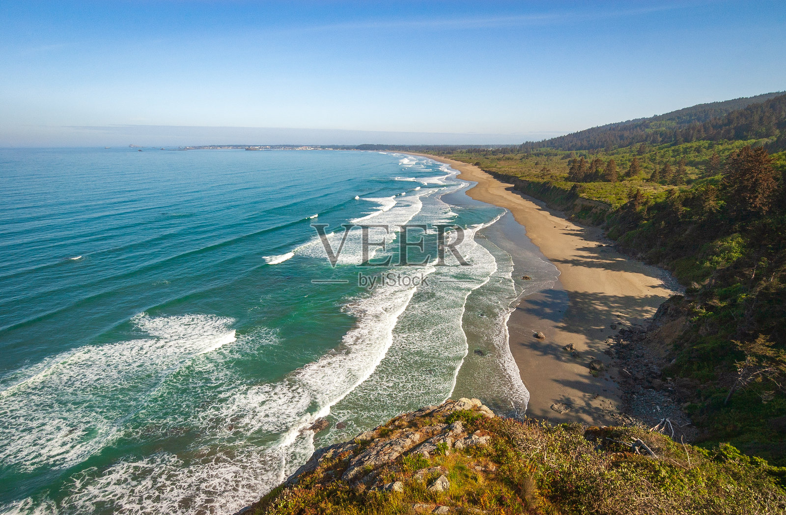 红木国家公园的太平洋海岸照片摄影图片