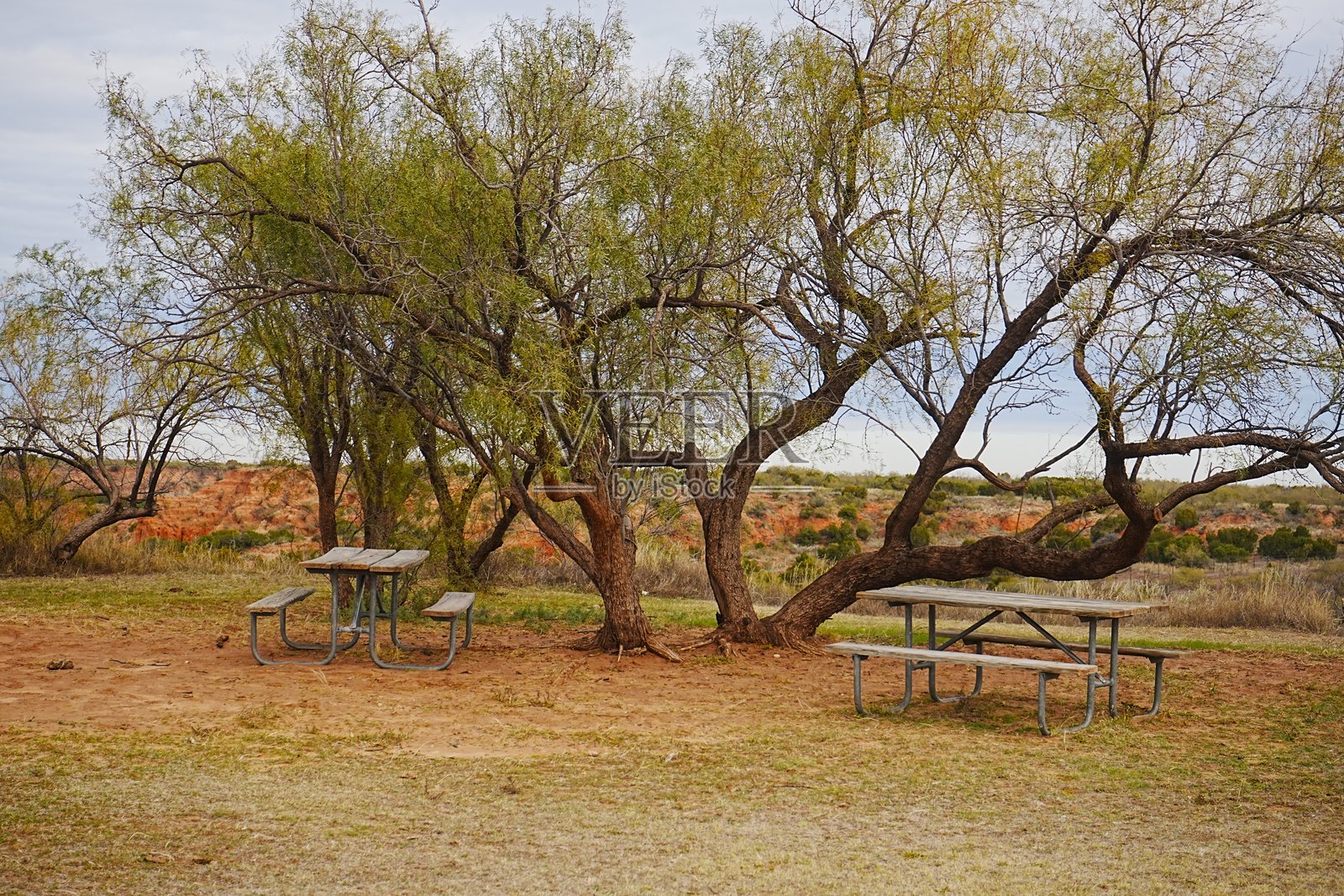 德克萨斯州卡普罗克峡谷州立公园照片摄影图片