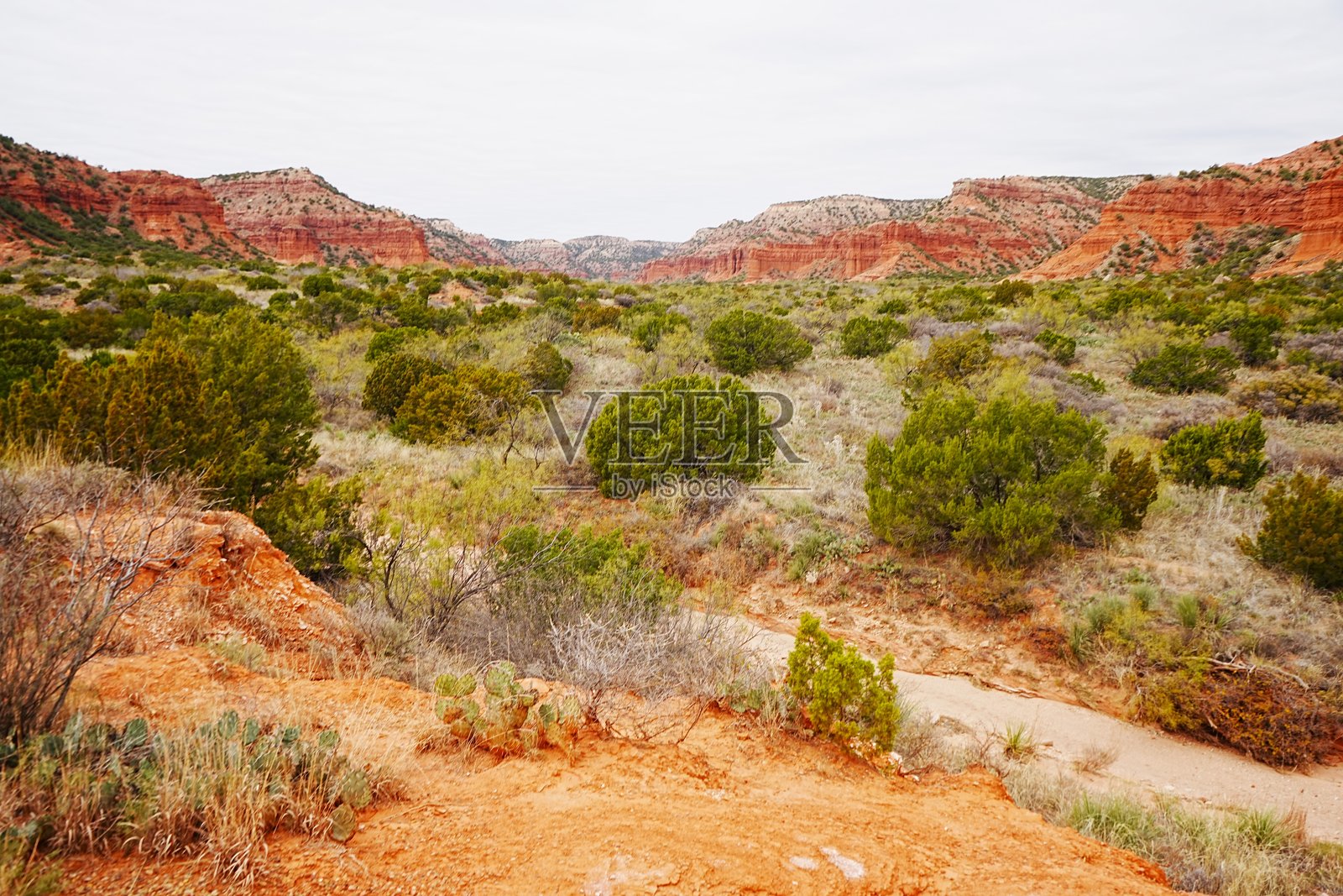 德克萨斯州卡普罗克峡谷州立公园照片摄影图片