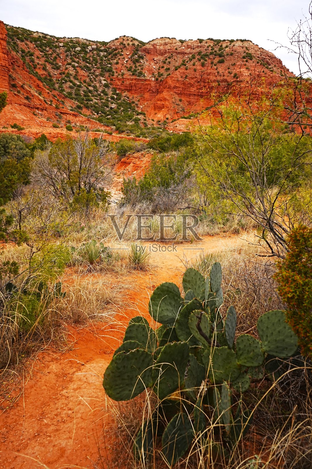 德克萨斯州卡普罗克峡谷州立公园照片摄影图片