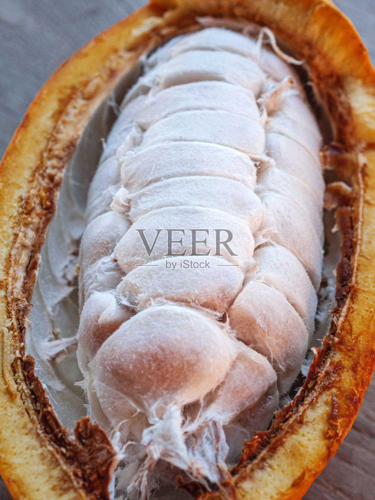 成熟可可果和黄色可可果上的白色新鲜可可种子的特写镜头照片摄影图片