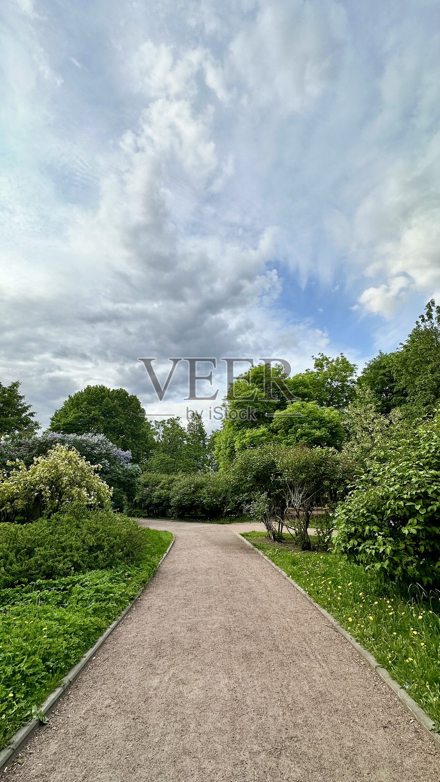 森林中的步道，蓝色多云的天空照片摄影图片