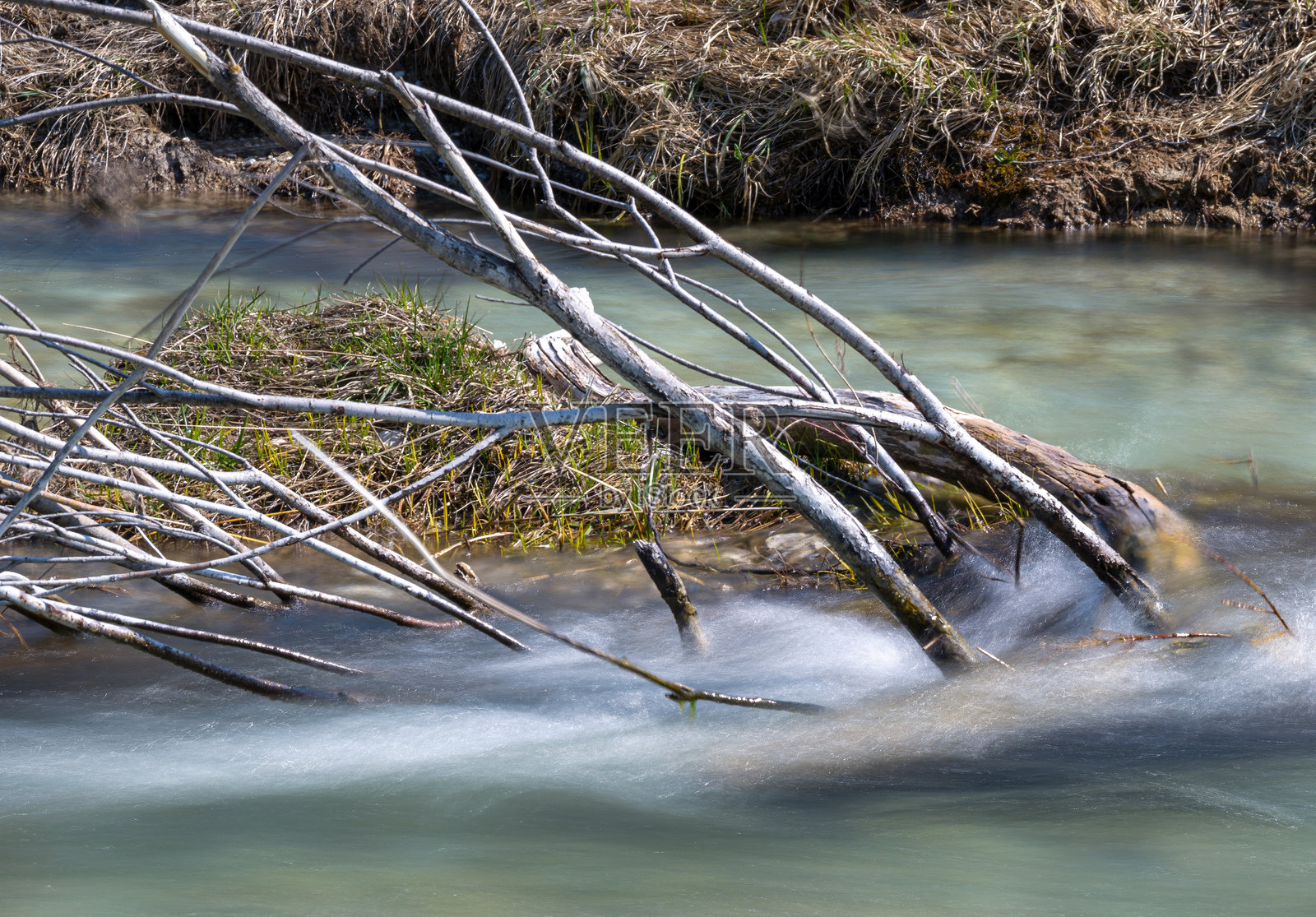 巴伐利亚州德国伊萨河中的漂流木照片摄影图片