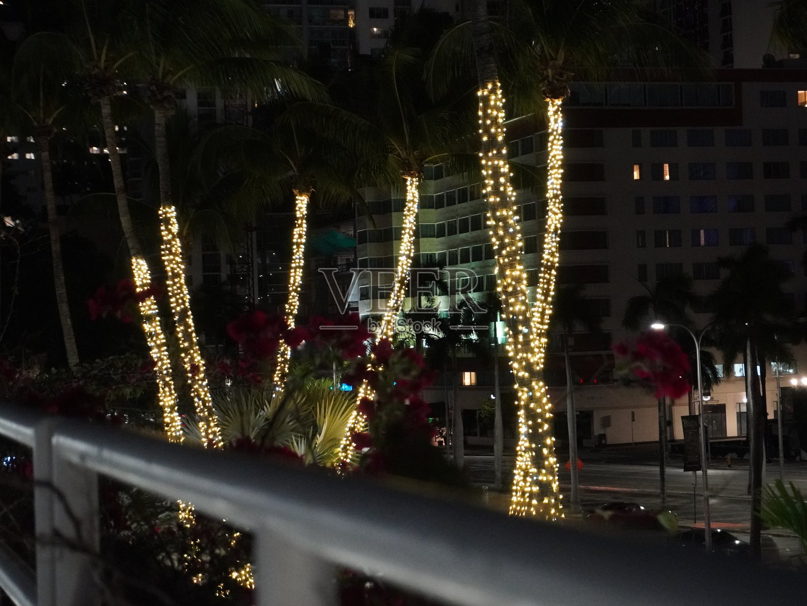 迈阿密照片摄影图片