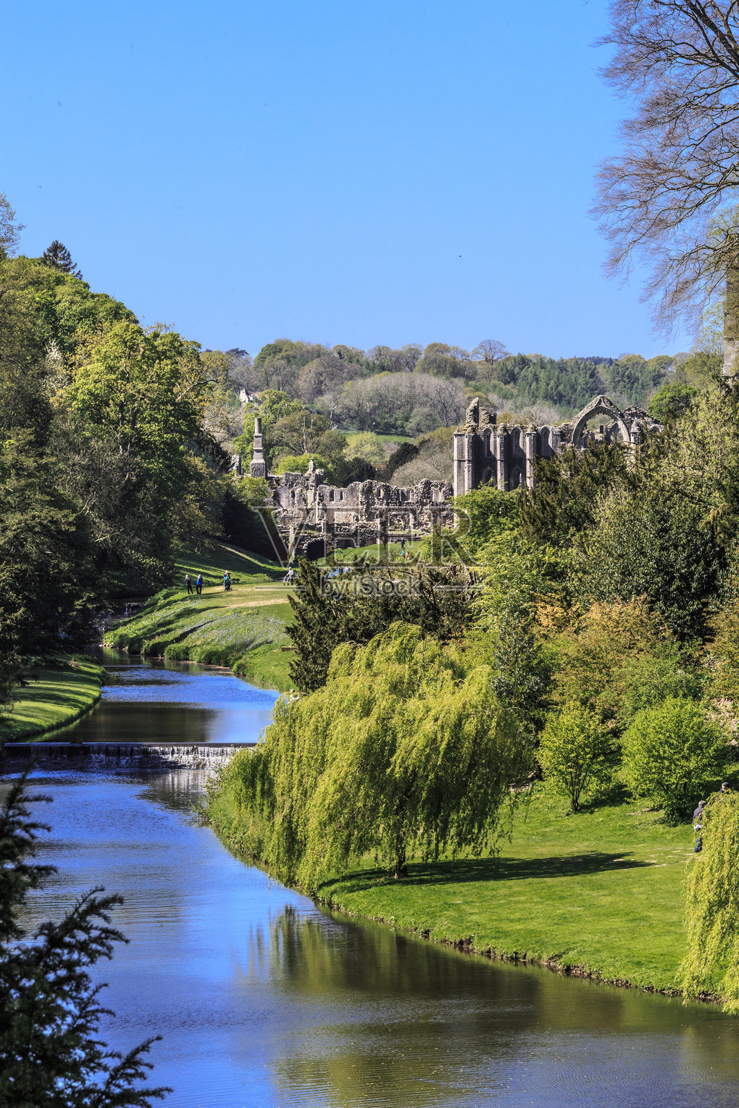 英格兰，北约克郡，里彭。喷泉修道院，斯塔德利皇家。联合国教科文组织世界遗产。国家信托，西多会修道院。斯凯尔河，惊喜景观。照片摄影图片