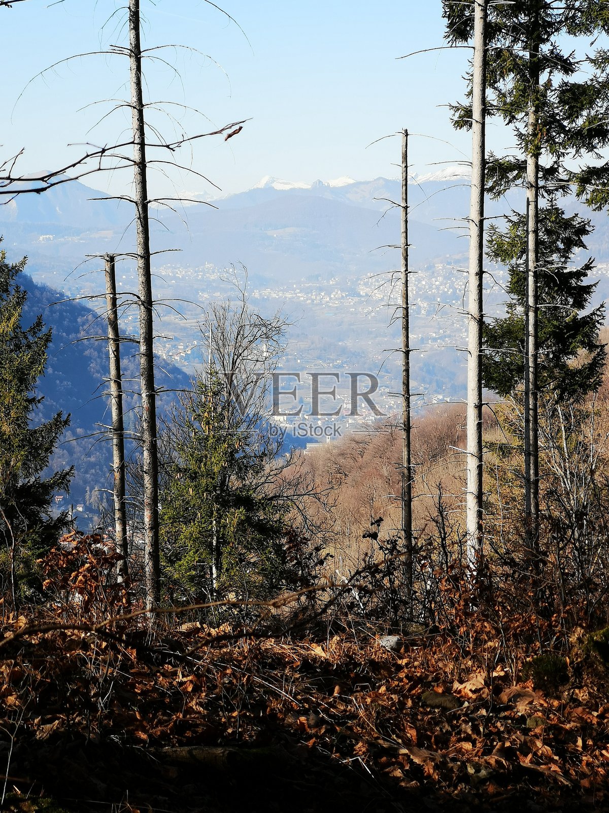 从小径俯瞰，因特尔维谷，科莫湖地区照片摄影图片