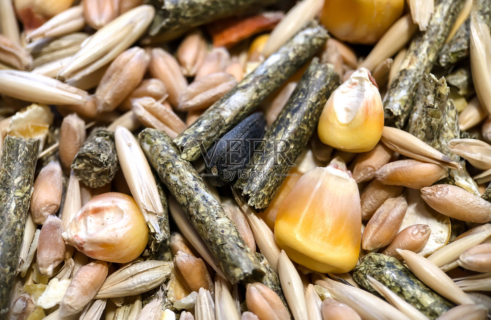 用于啮齿动物的食物质地，包括燕麦、草颗粒、动物饲料、玉米和小麦。照片摄影图片