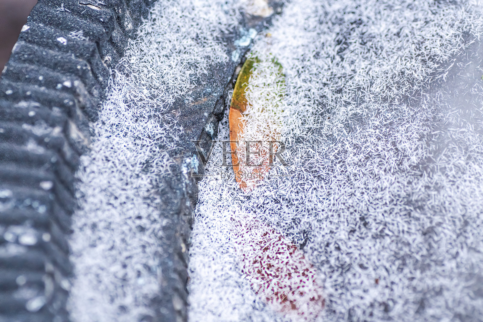 德克萨斯州奥斯汀的冬天照片摄影图片