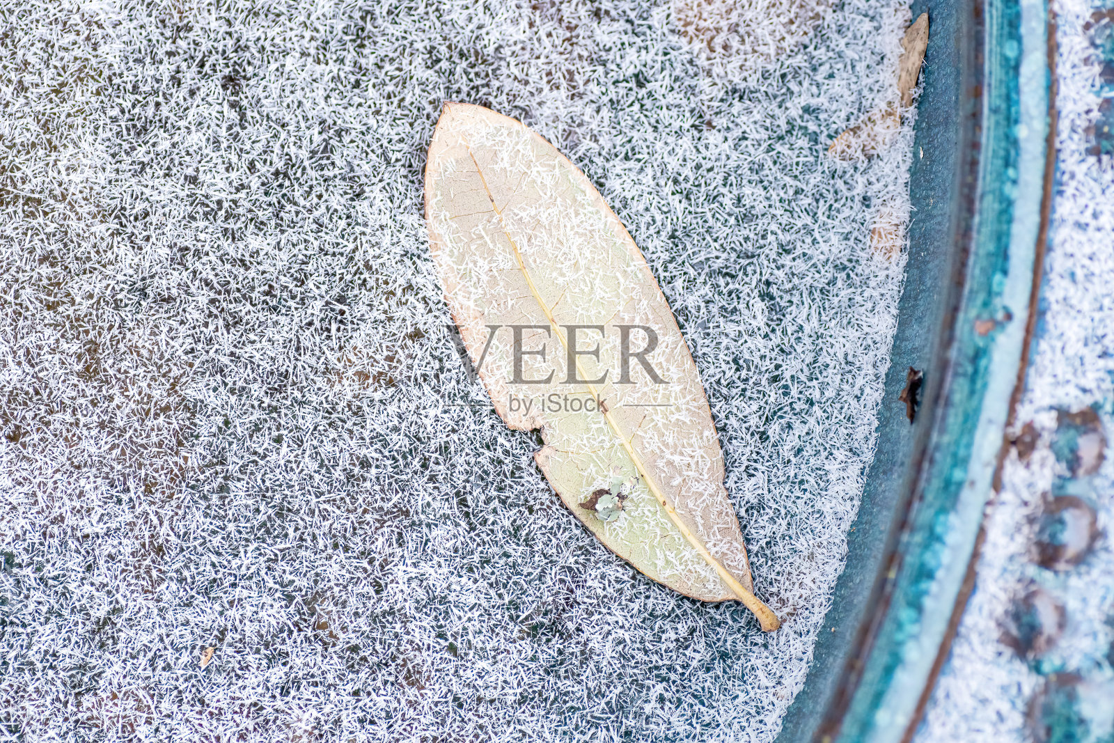 德克萨斯州奥斯汀的冬天照片摄影图片