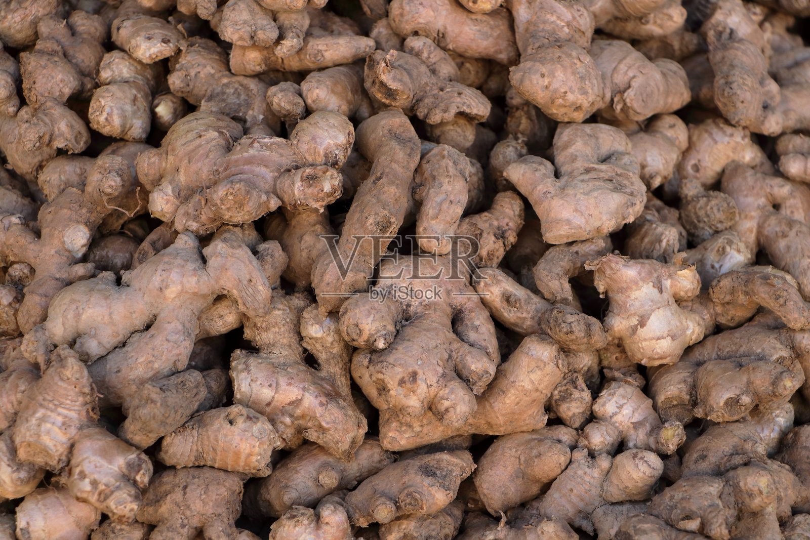 姜。照片摄影图片