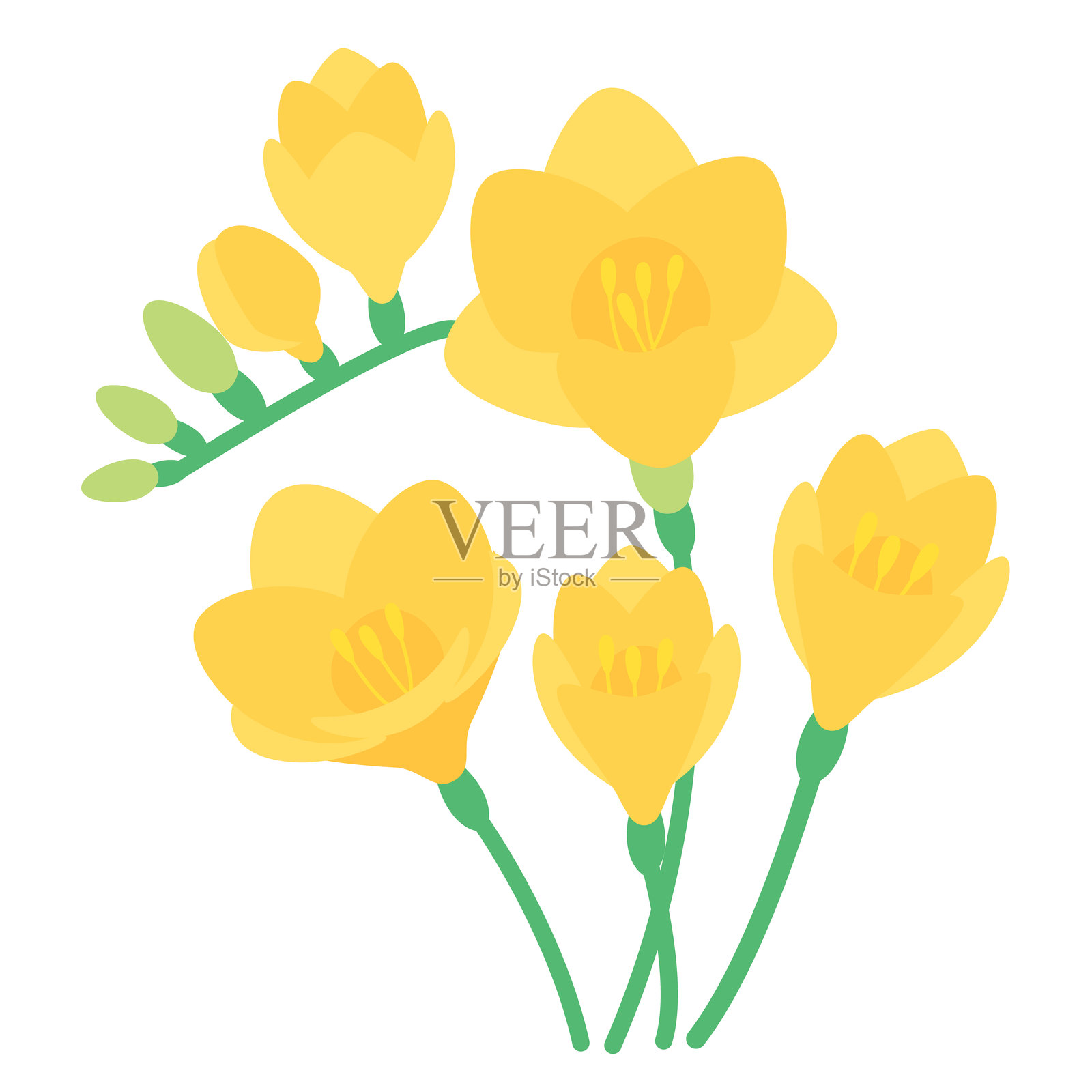 小苍兰花剪贴画，可爱的花卉矢量插图插画图片素材