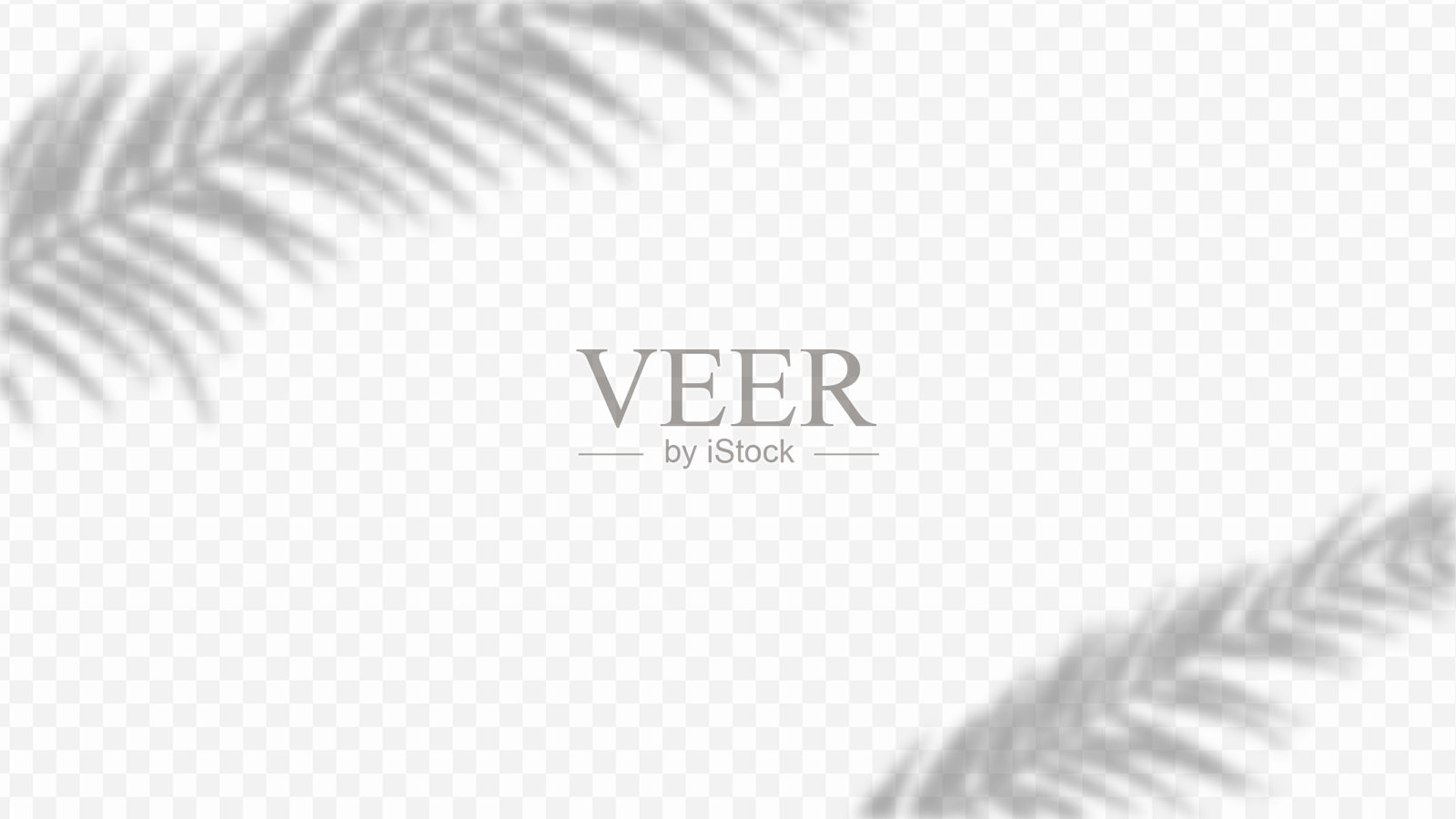 树木和叶子阴影叠加，带透明背景。棕榈树和棕榈叶阴影叠加。设计模板的阴影叠加效果样机。插画图片素材