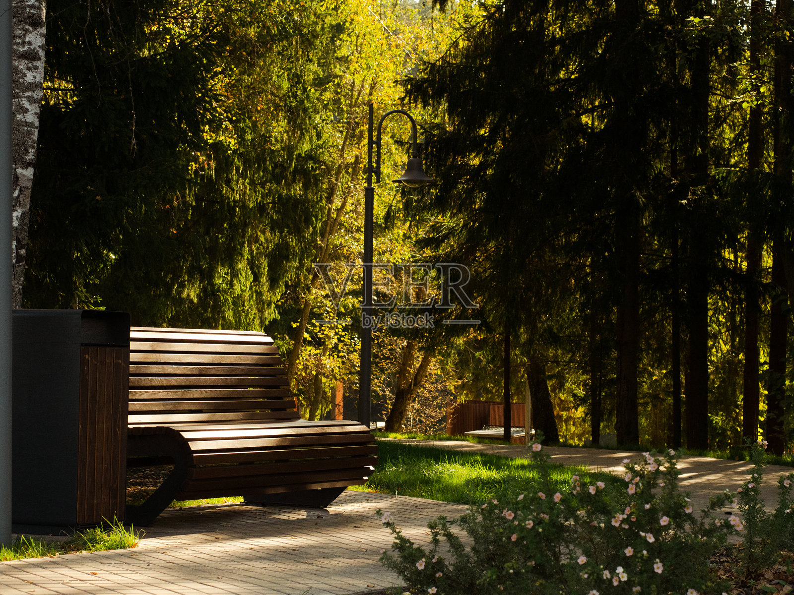 现代木质城市公园位于河岸，四周被森林环绕照片摄影图片