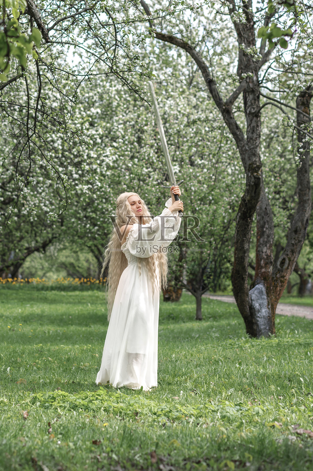 浪漫的年轻金发女子穿着白色裙子，手持剑，站在盛开白色苹果树的花园中。战士女性照片摄影图片