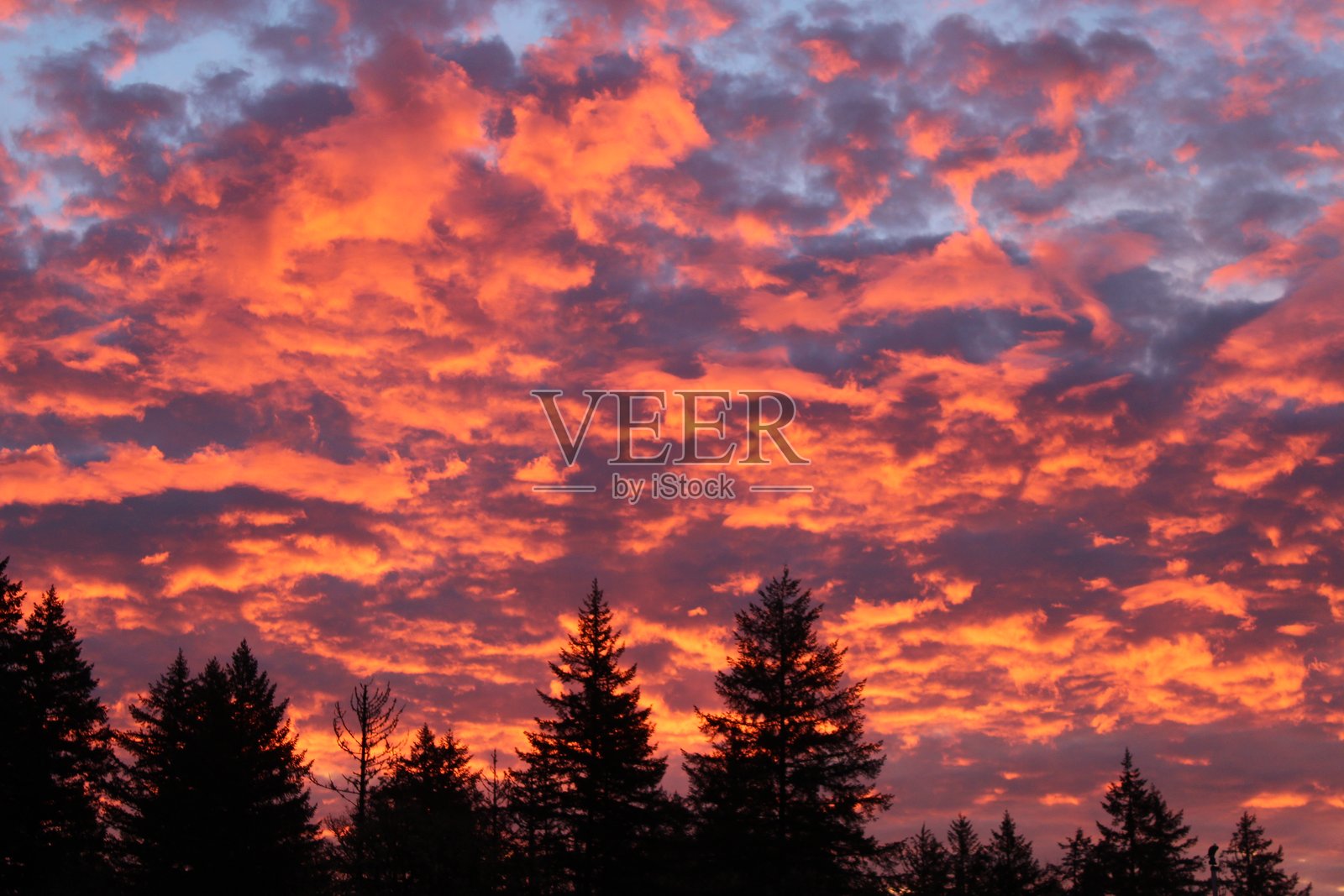 橙色天空照片摄影图片