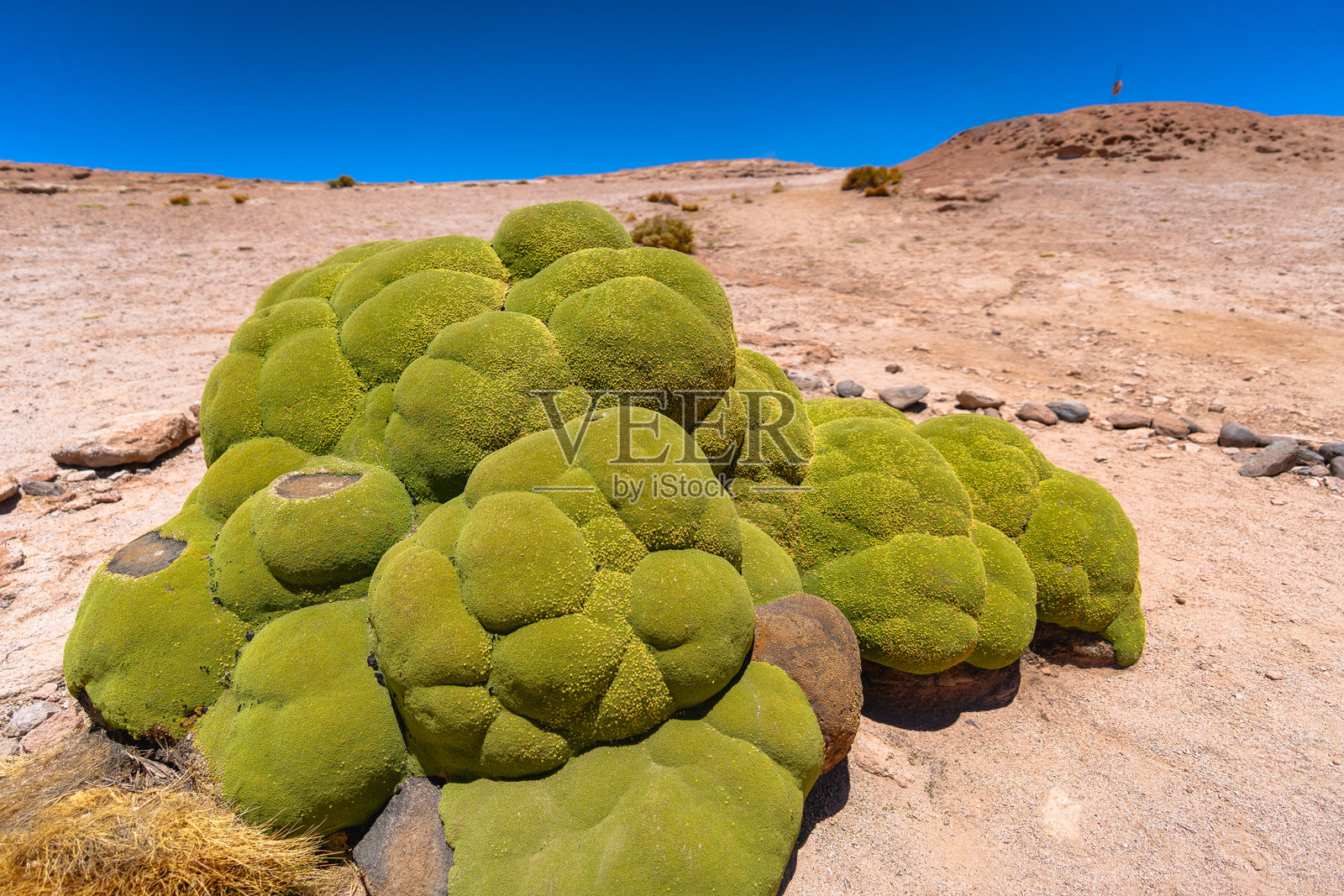 从玻利维亚到智利的路上照片摄影图片