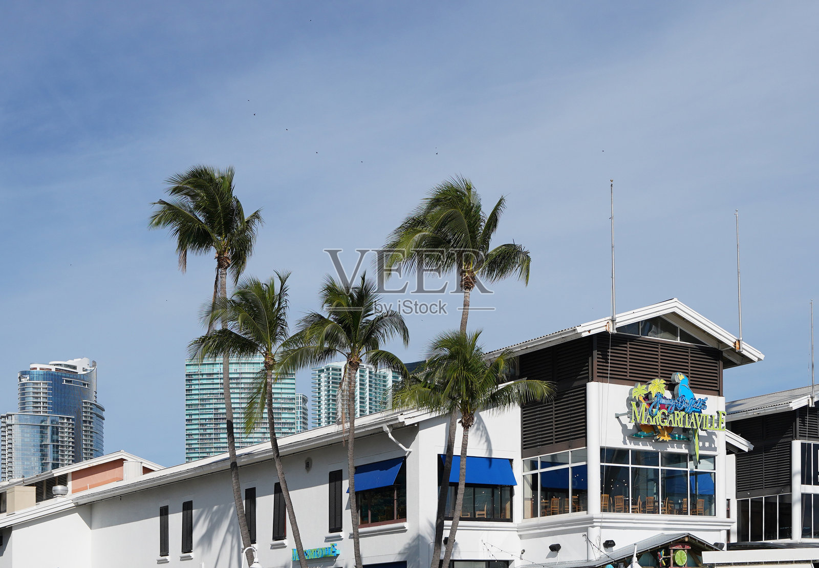 迈阿密湾岸公园的吉米·巴菲特的玛格丽塔酒吧和餐厅照片摄影图片