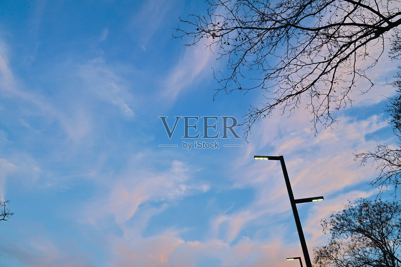 蓝天与树。仰望天空的照片。照片摄影图片