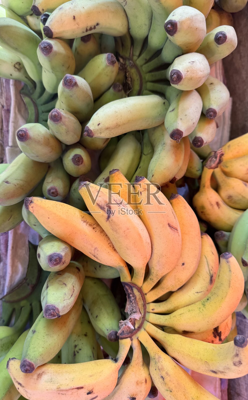 香蕉成群！照片摄影图片