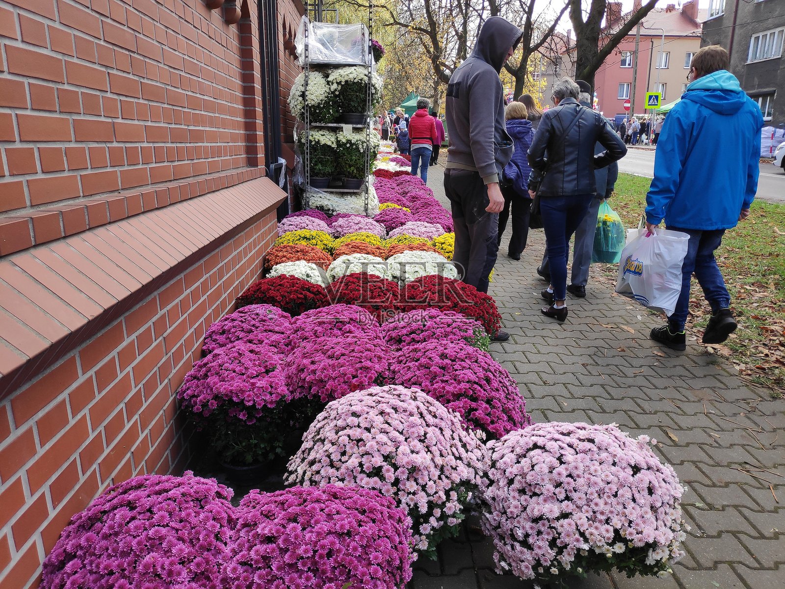 波兰万圣节购物照片摄影图片