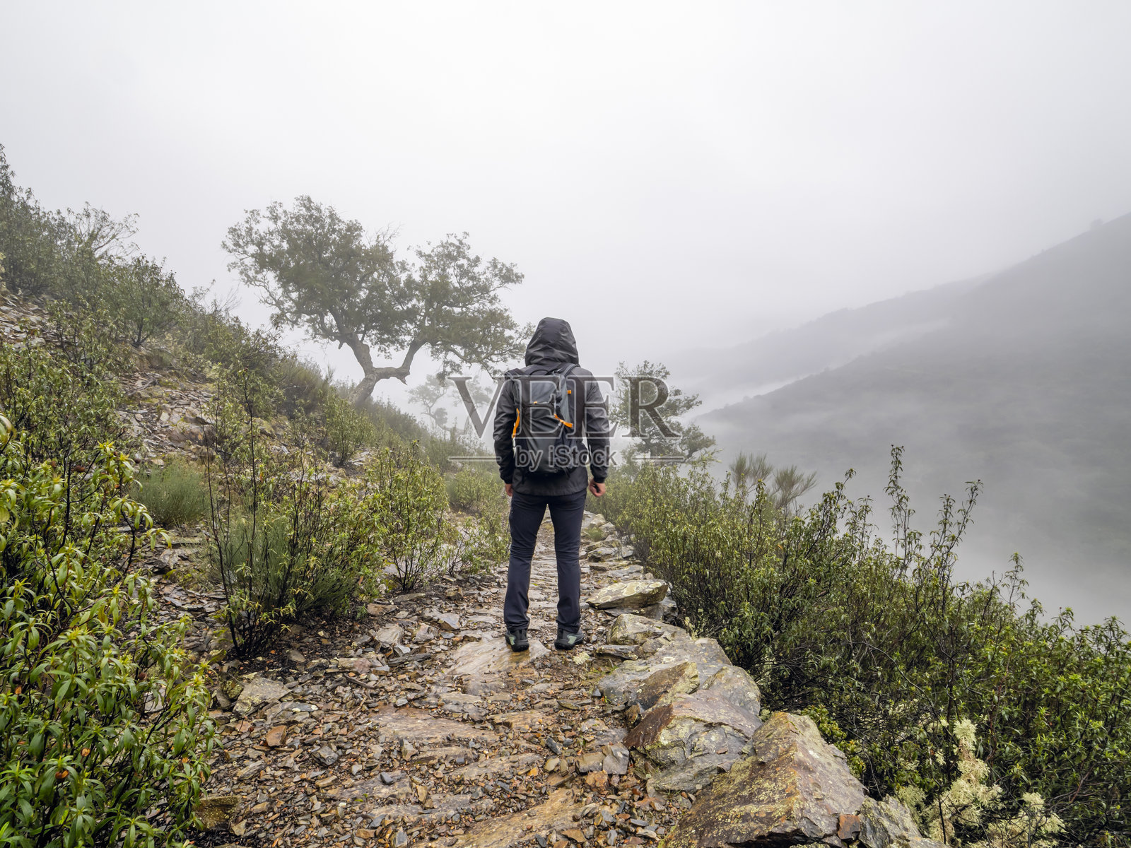 在雾蒙蒙的冬晨，行走在鹅卵石乡间小路上的徒步旅行者照片摄影图片