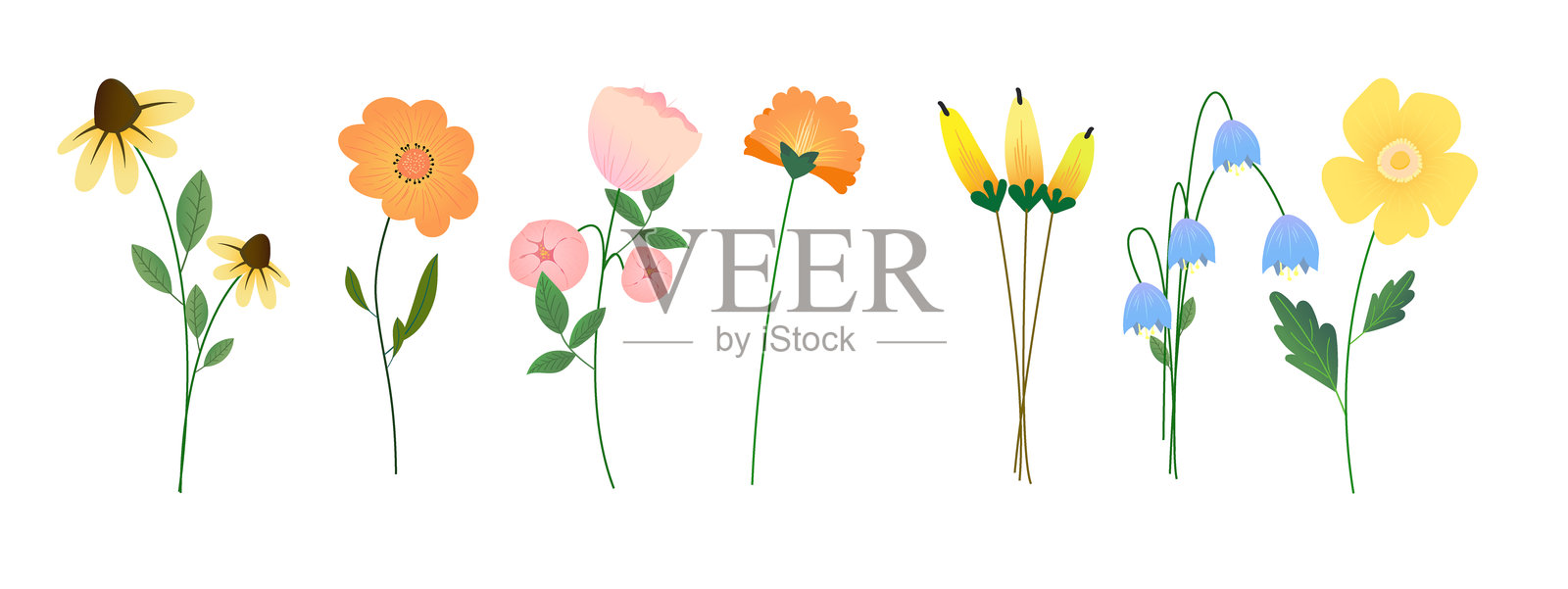 春季多彩花卉元素矢量集合。野花、叶子分支、叶片在白色背景上的花卉组合。手绘花朵插图用于装饰、复活节、贴纸、剪贴画和印刷。插画图片素材