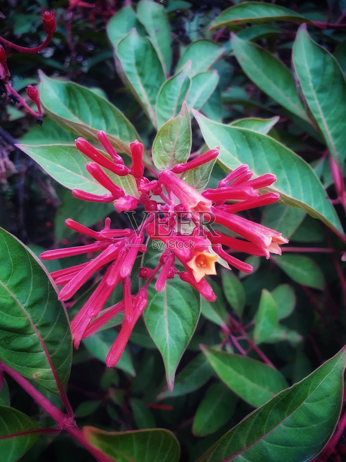 大自然的馈赠是地球的财富照片摄影图片