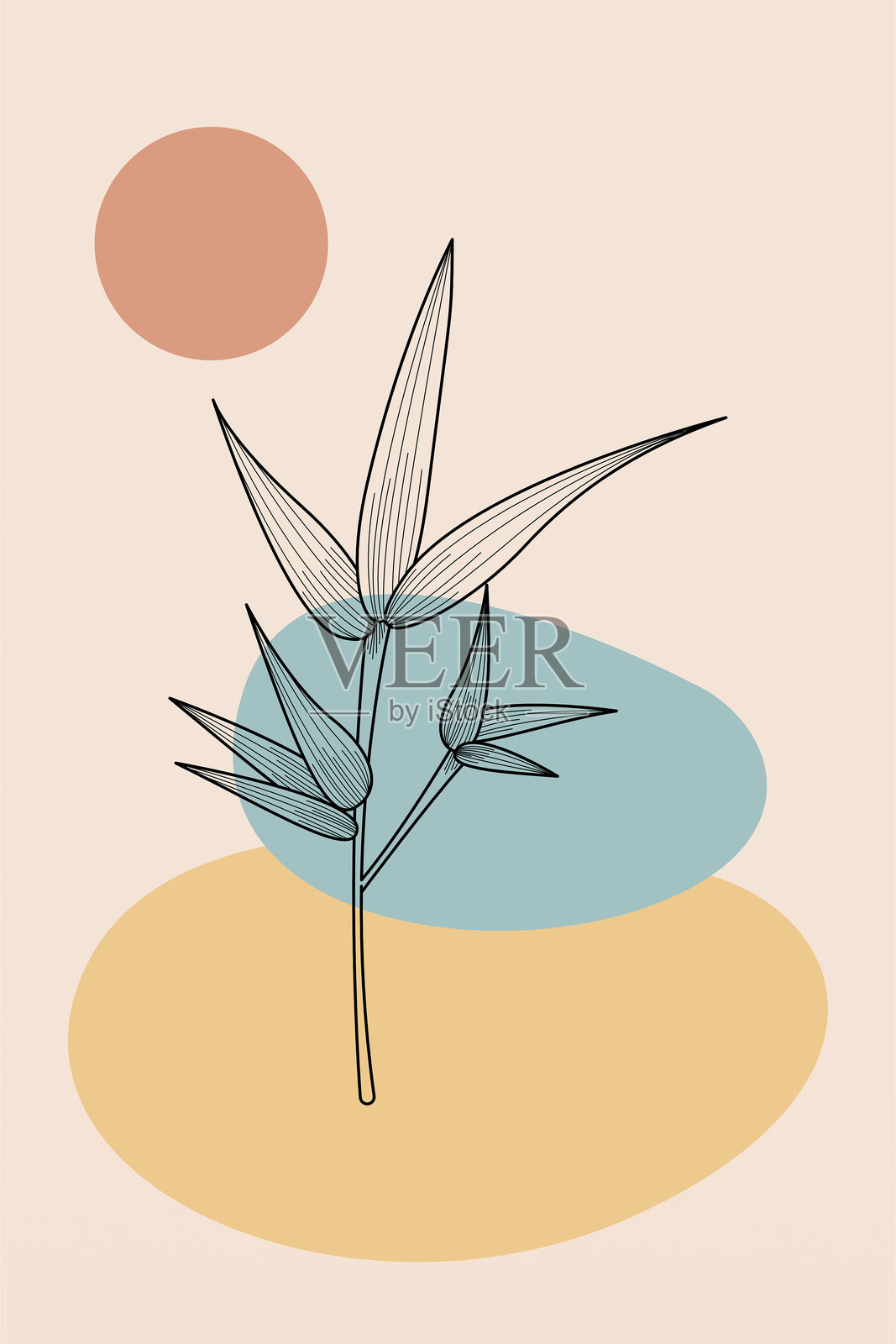 抽象植物墙面艺术装饰。波西米亚风格花卉墙面装饰可打印海报插画图片素材