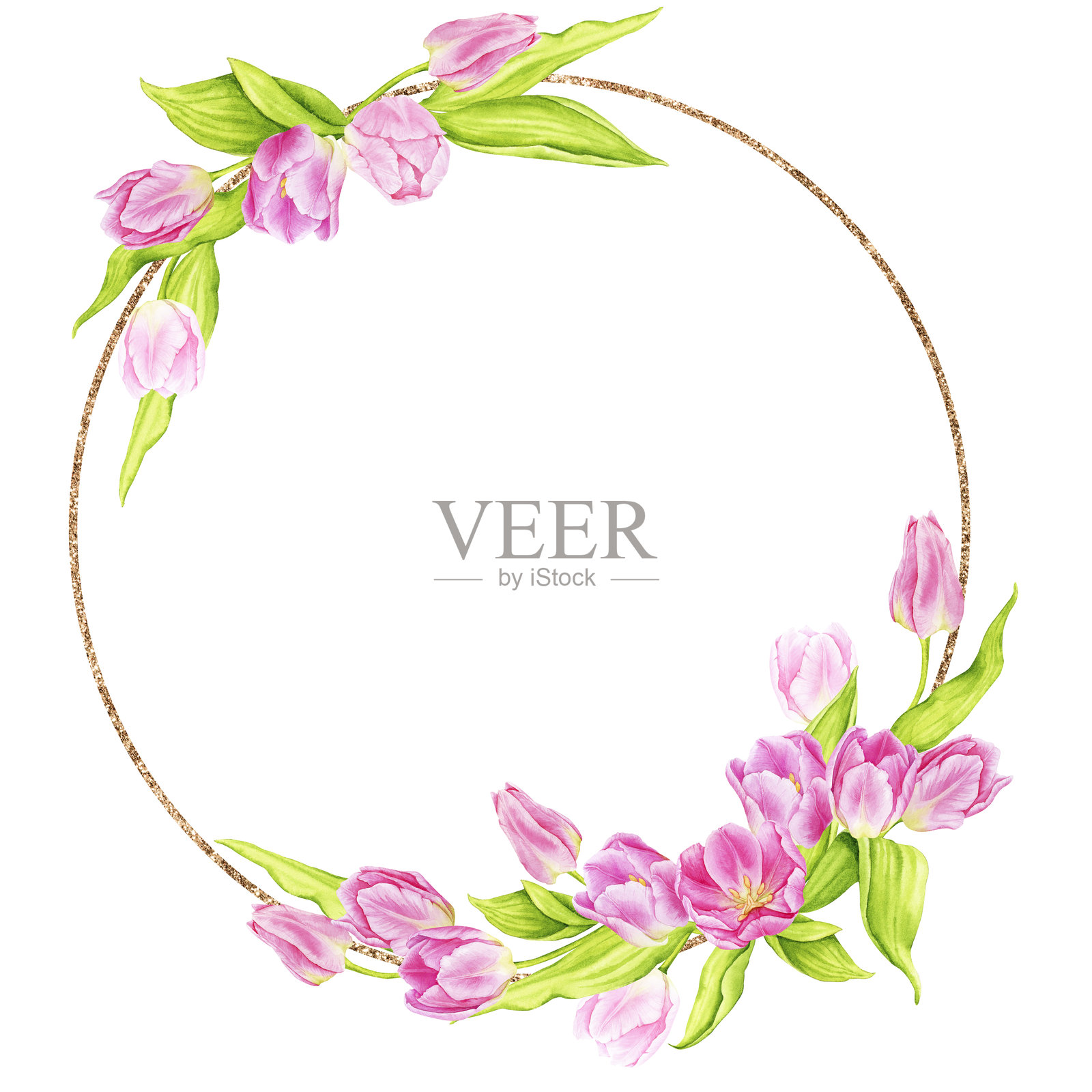 水彩粉色郁金香的金色花环。适用于卡片、贺卡、海报、邀请函的构图。春天、婚礼、母亲节、复活节、国际妇女节、生日。手绘插图。插画图片素材