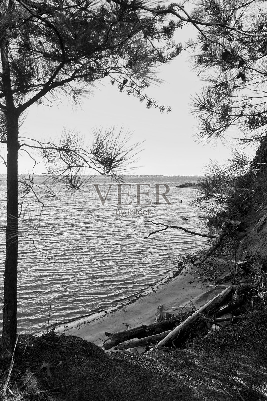 城市照片摄影图片