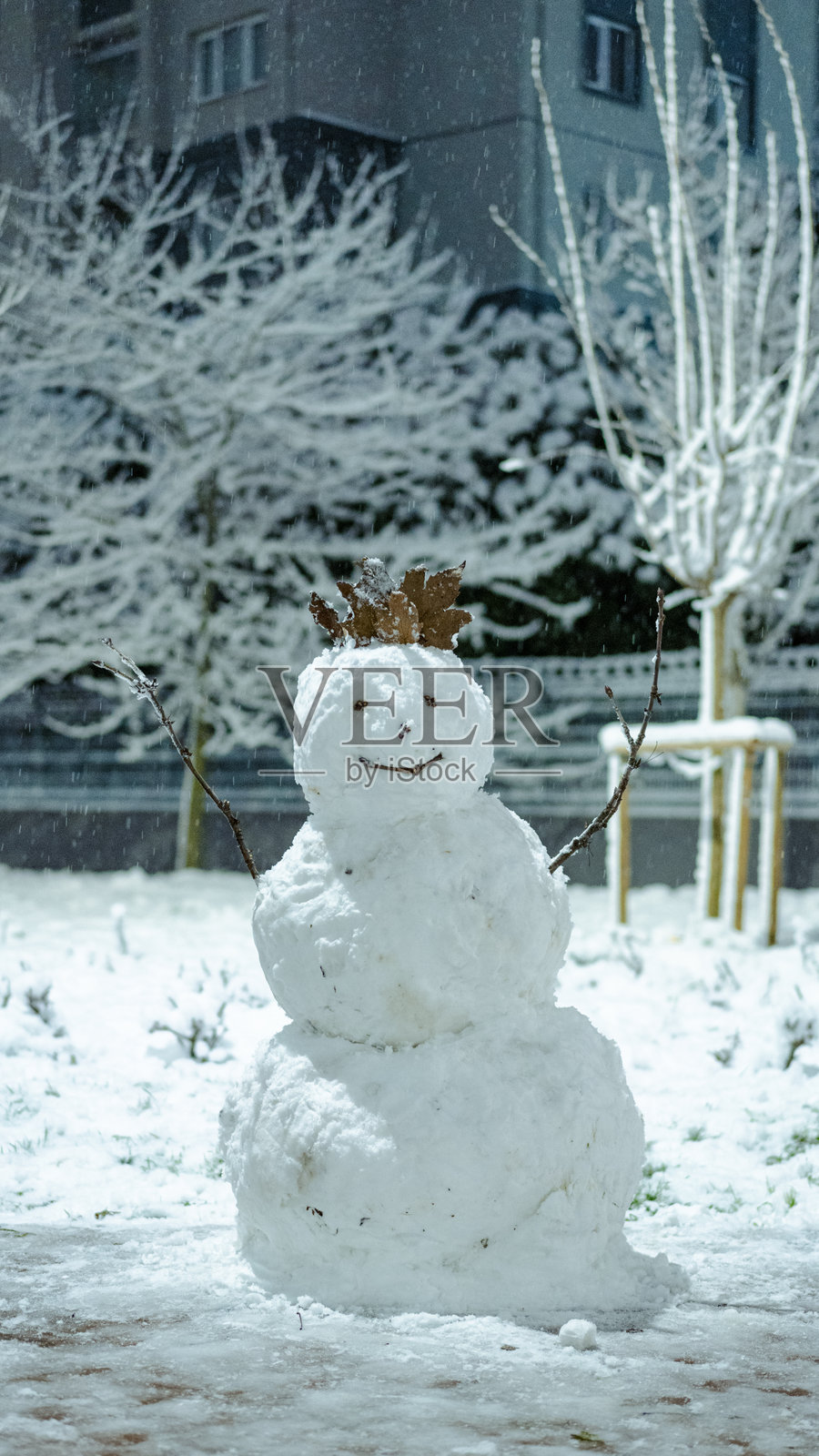 雪地里的雪人照片摄影图片