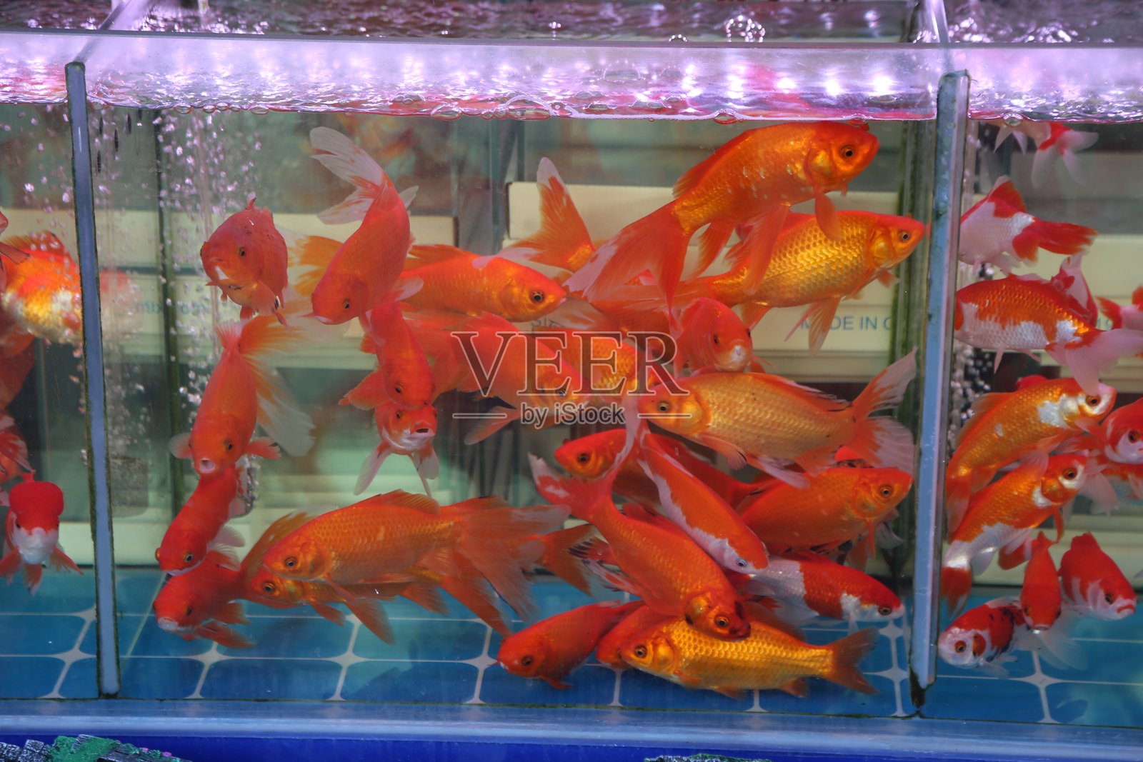 一个大型金鱼缸，里面有许多红色和黄色的鱼，位于一个亚洲市场的中央，俯视的全身照片。照片摄影图片